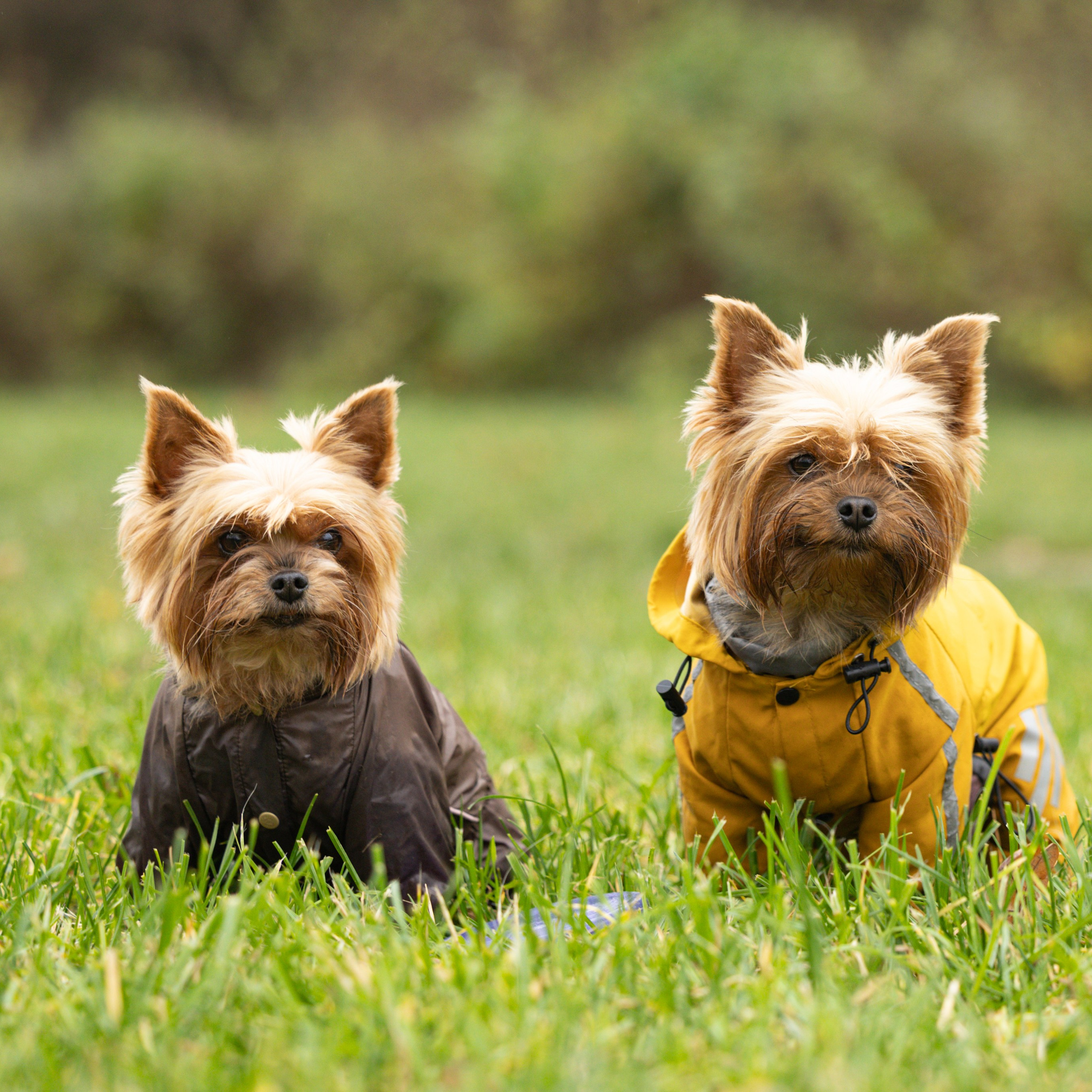 Джессика и&nbsp;Афродита