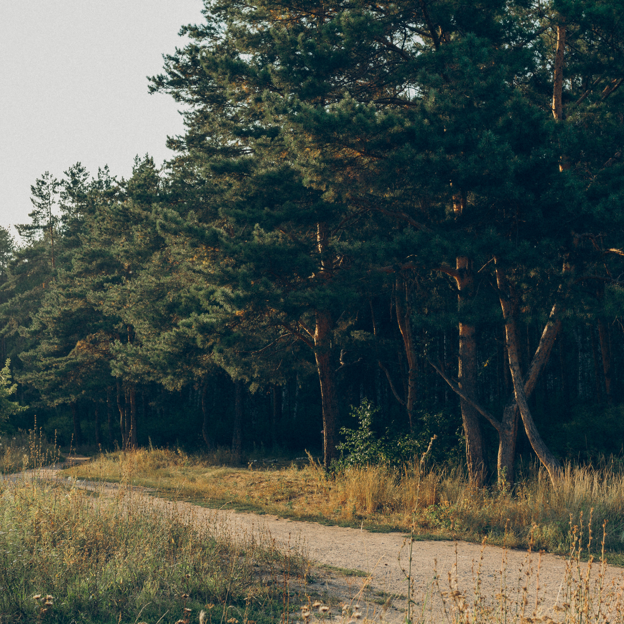 Отзывы. Фотограф в Челябинске Снежана Резниченко