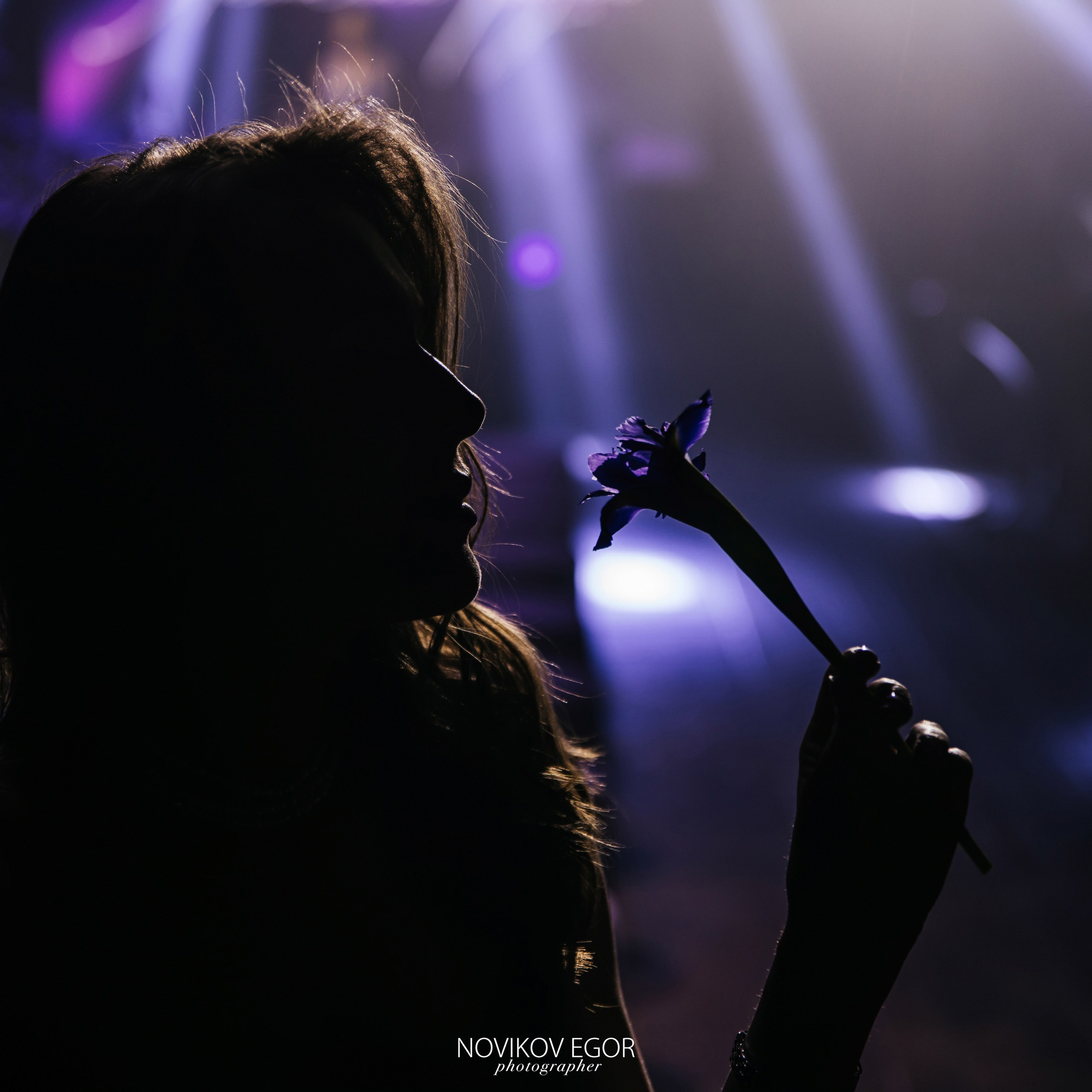 Анютины Глазки