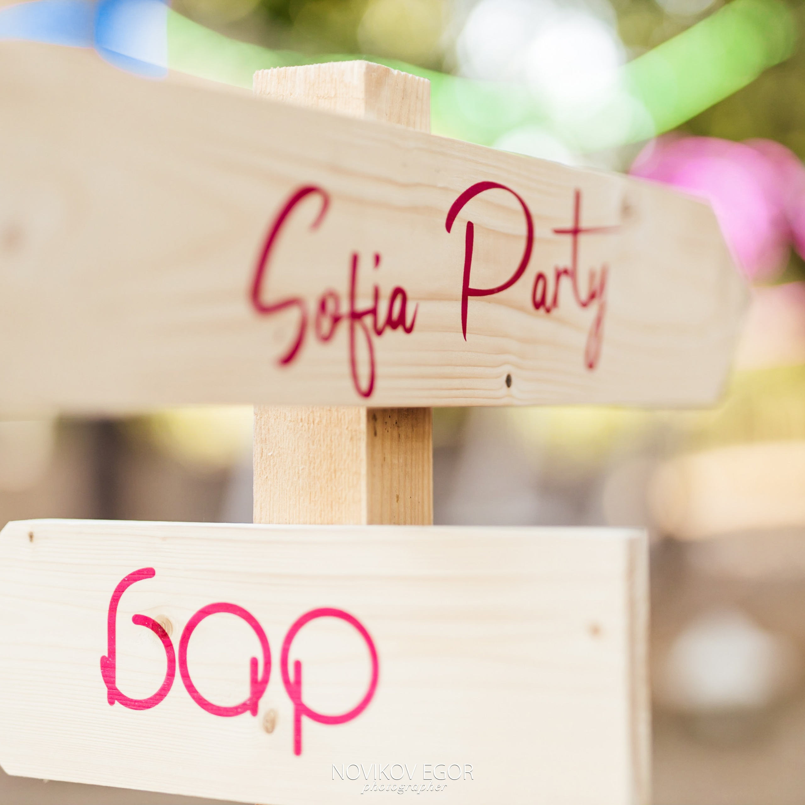 День Рождение Софии