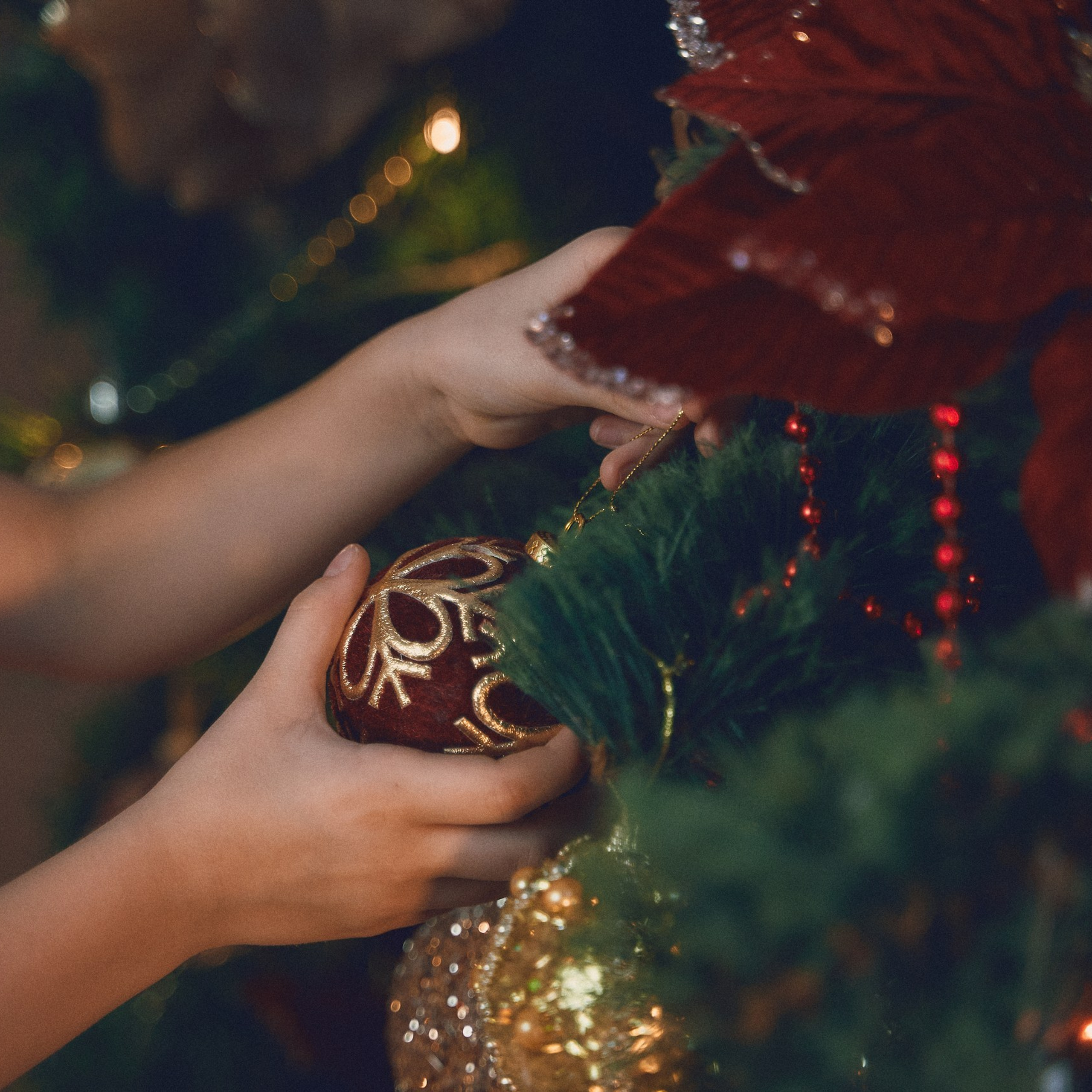 Отзывы. Петр Ступень. Свадебное, семейное фото и видео. Москва. Краснодар