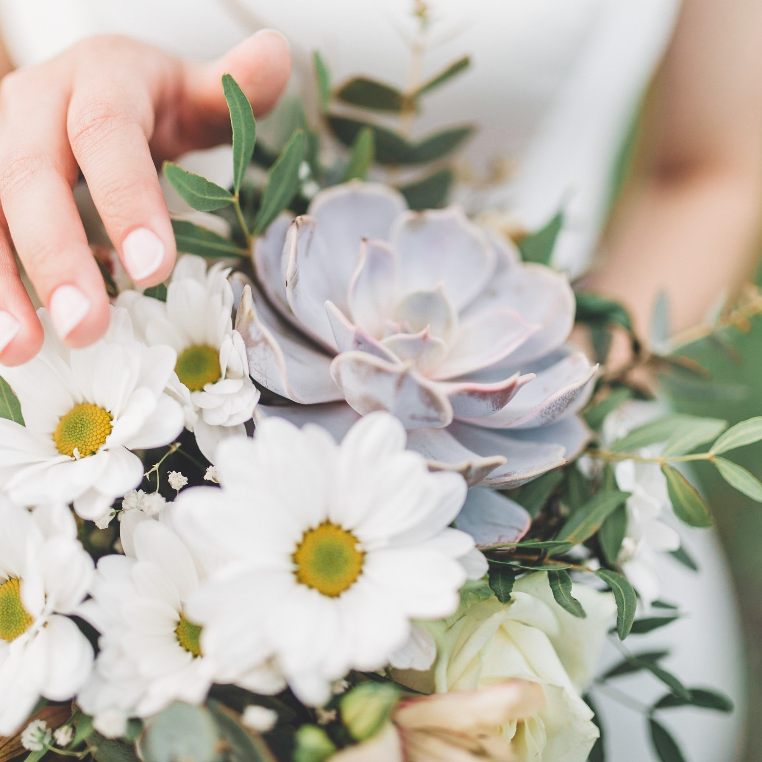 Отзывы. Свадебный и семейный видеограф в Курске