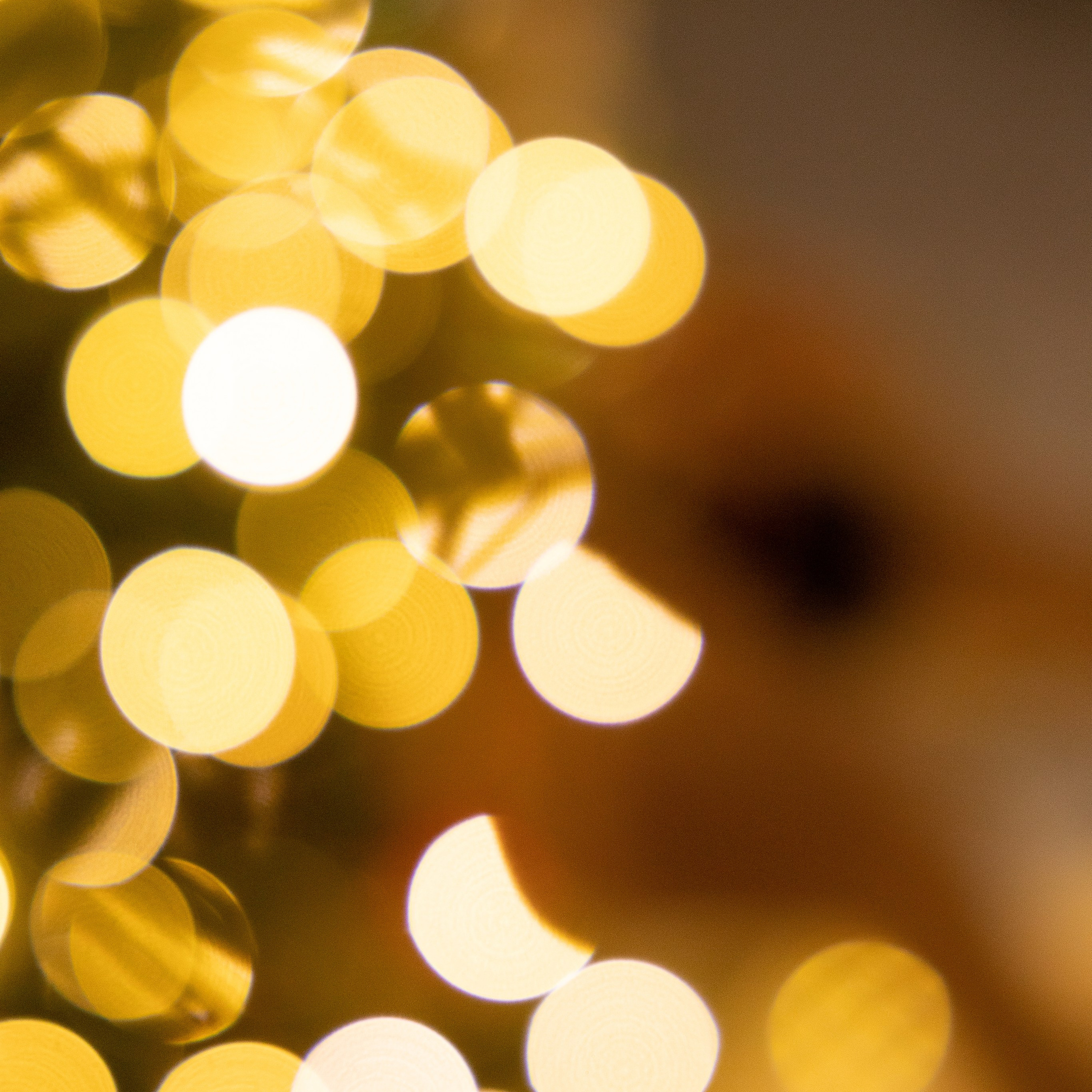 Отзывы. Портретный фотограф Санкт-Петербург и Москва Дарья Румянцева