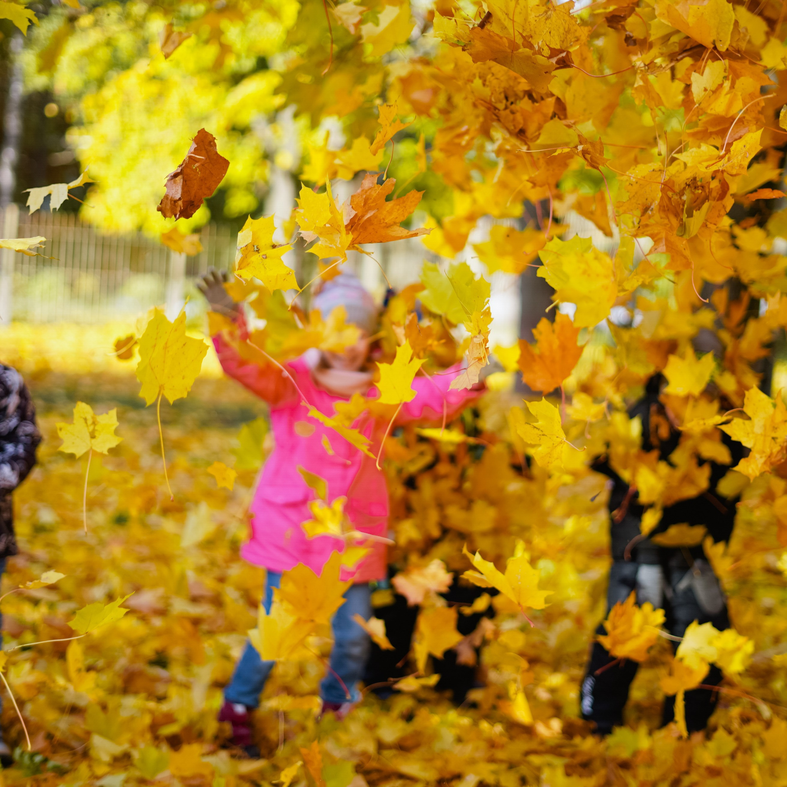 Отзывы. Выпускные альбомы, детский фотограф в Санкт—Петербурге