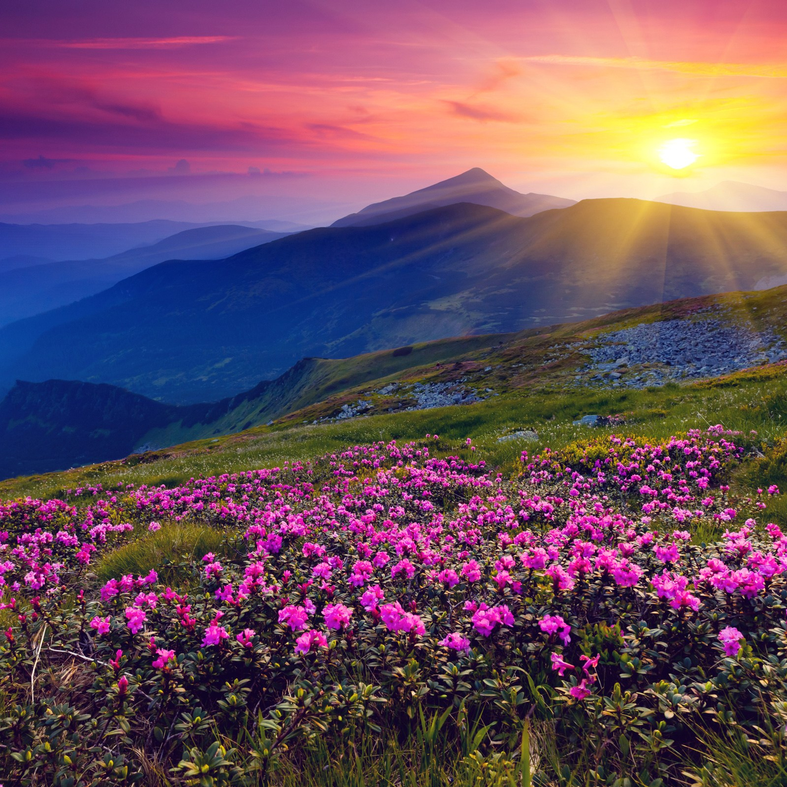 Отзывы. Выпускные альбомы, детский фотограф в Санкт—Петербурге