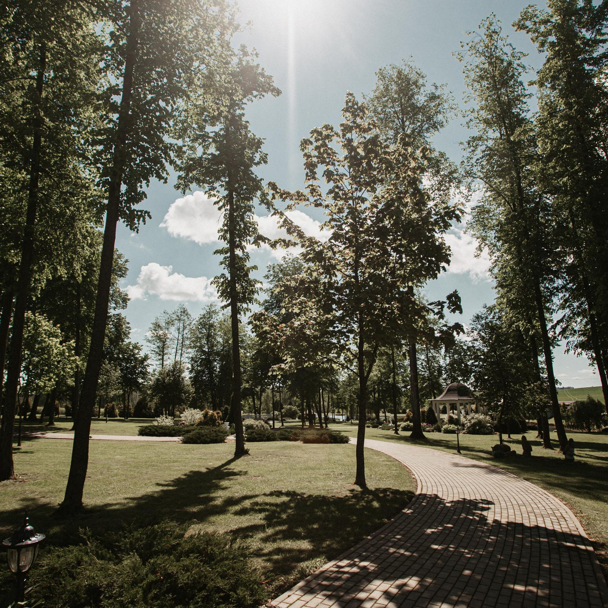 Отзывы. Свадебный фотограф Гродно Минск Destination wedding photographer