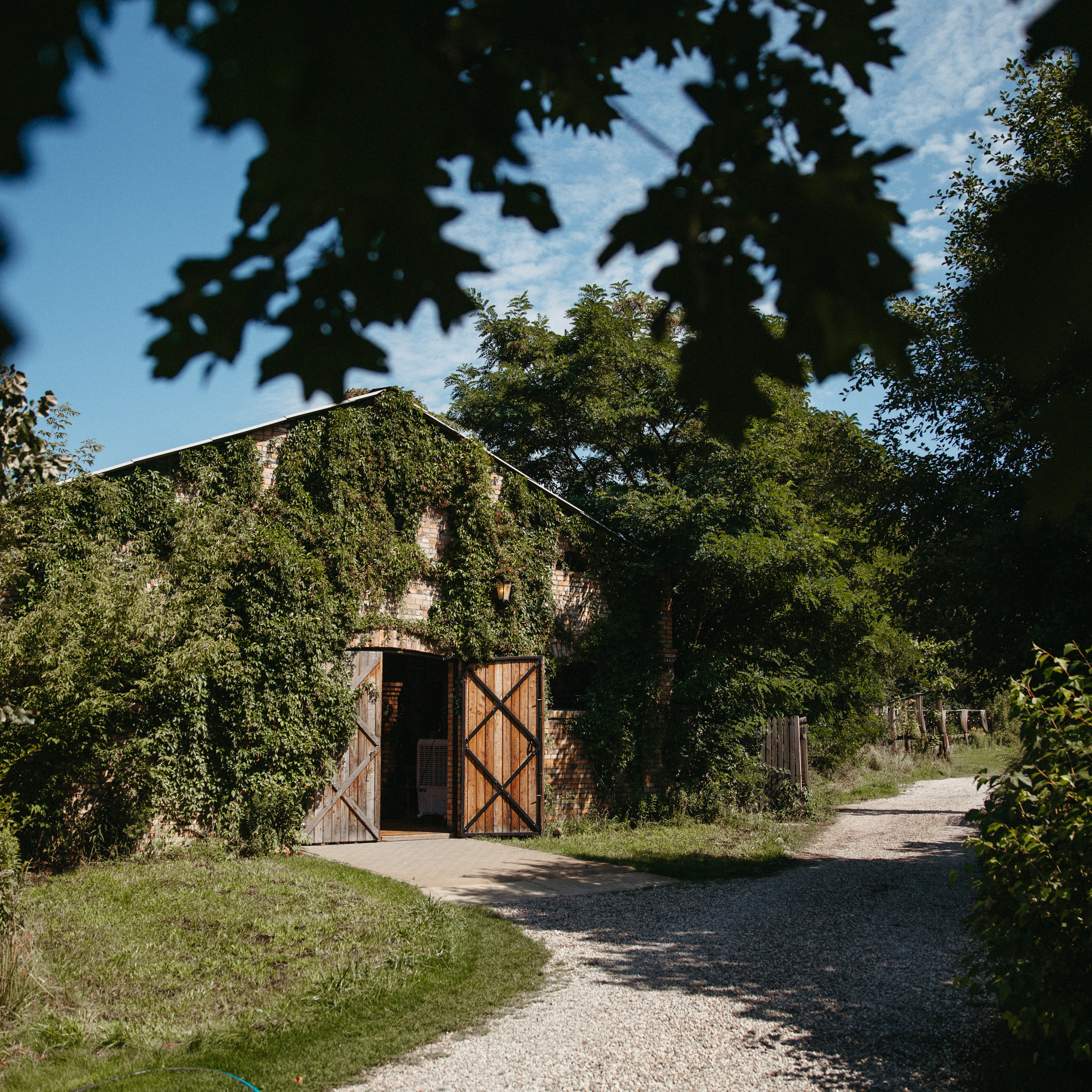 Отзывы. Свадебный фотограф Гродно Минск Destination wedding photographer