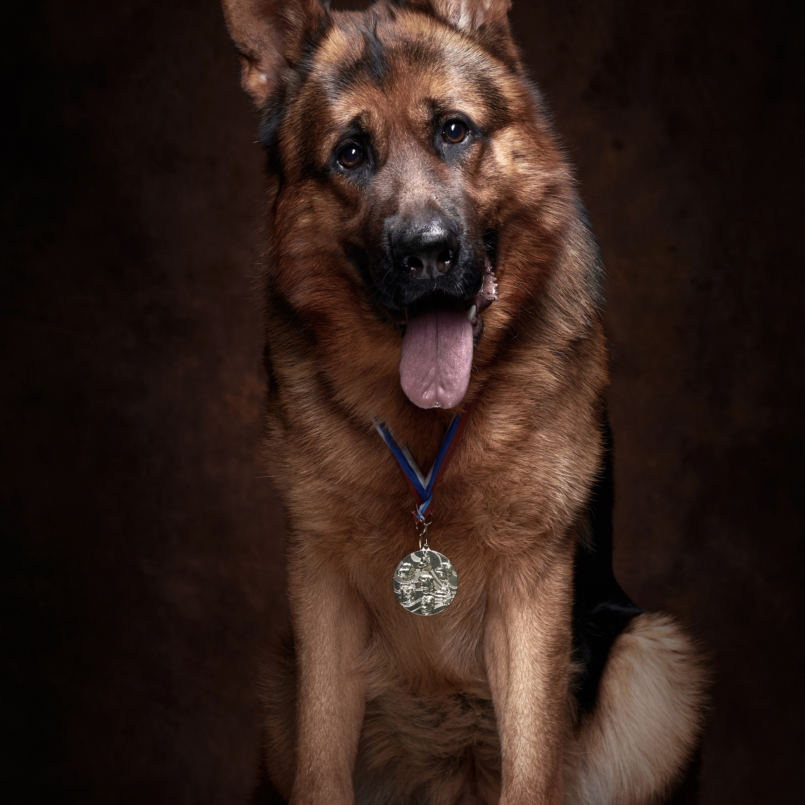 Съемка животных