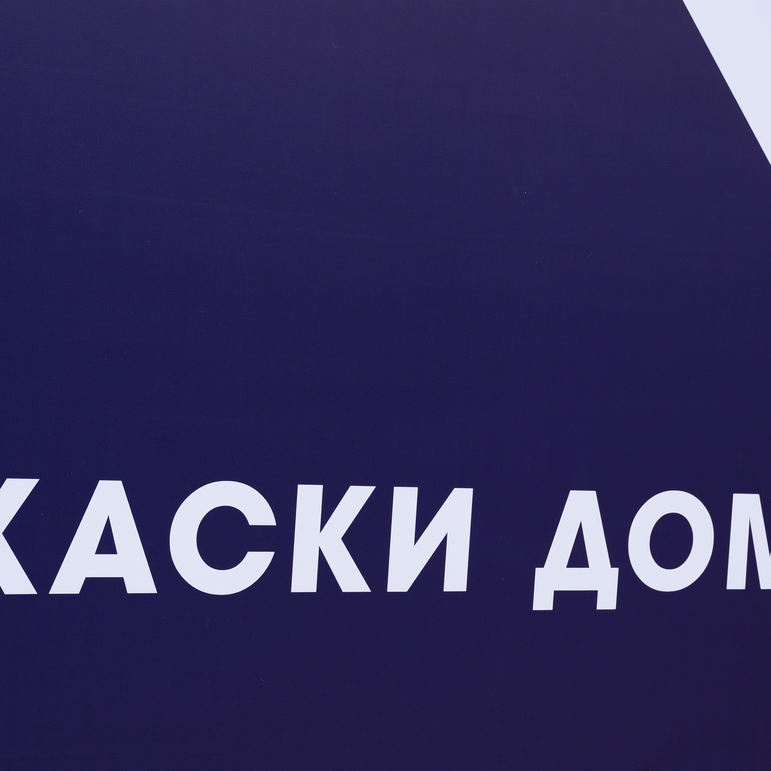 Открытие приюта для собак породы Хаски «Хаски дом»