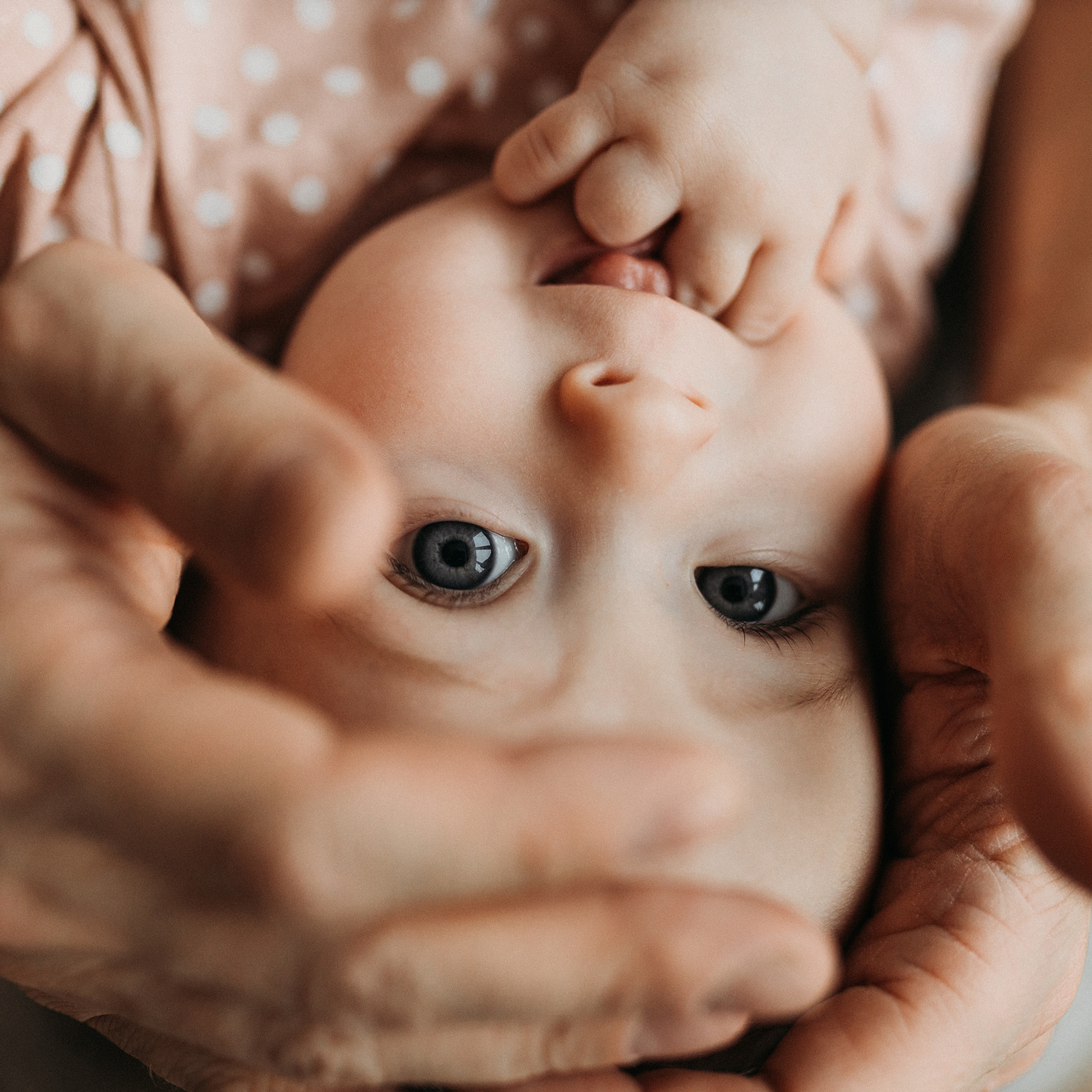 Катя, Вадим, Фёдор и Алиса