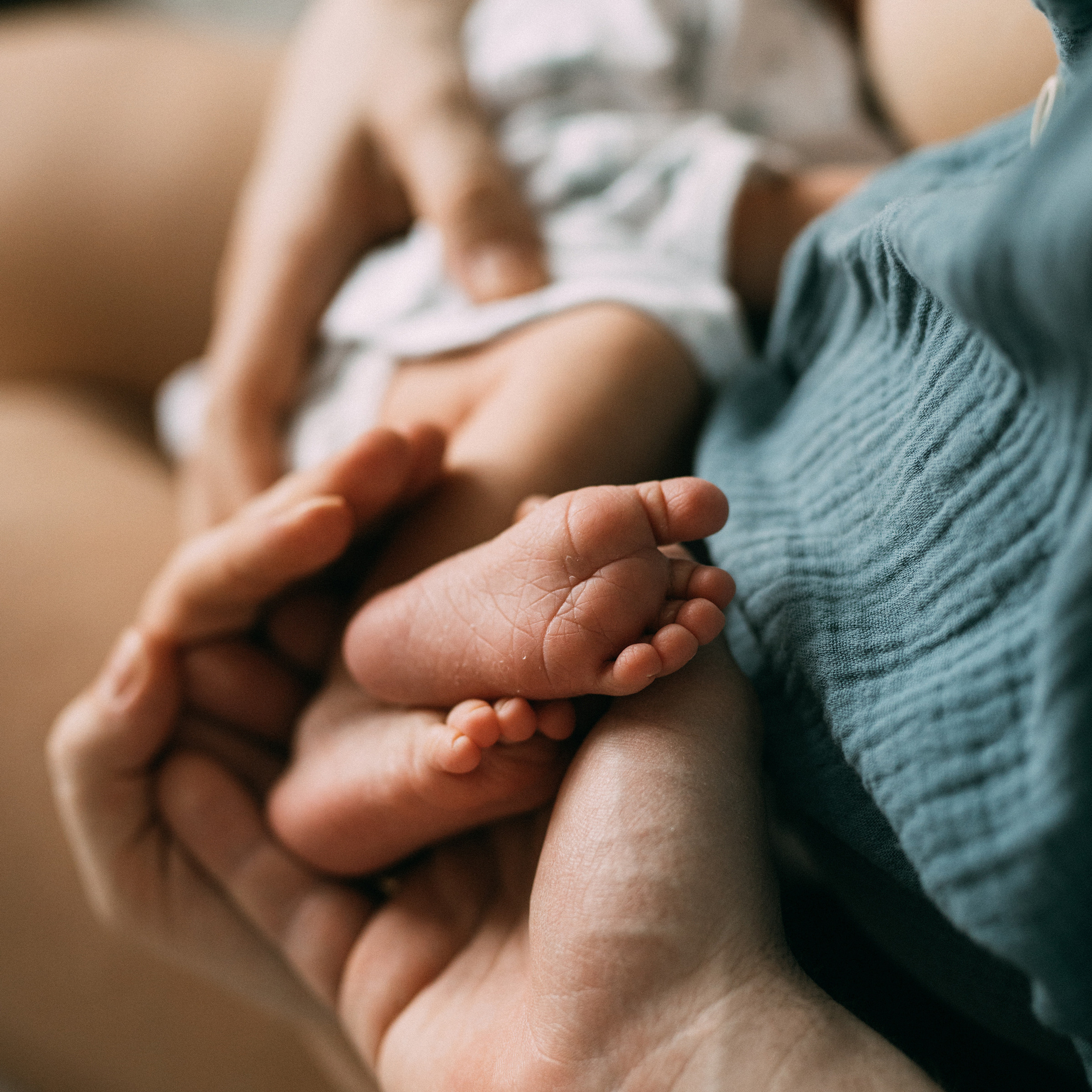 Катя, Саша, Савелий, Матвей