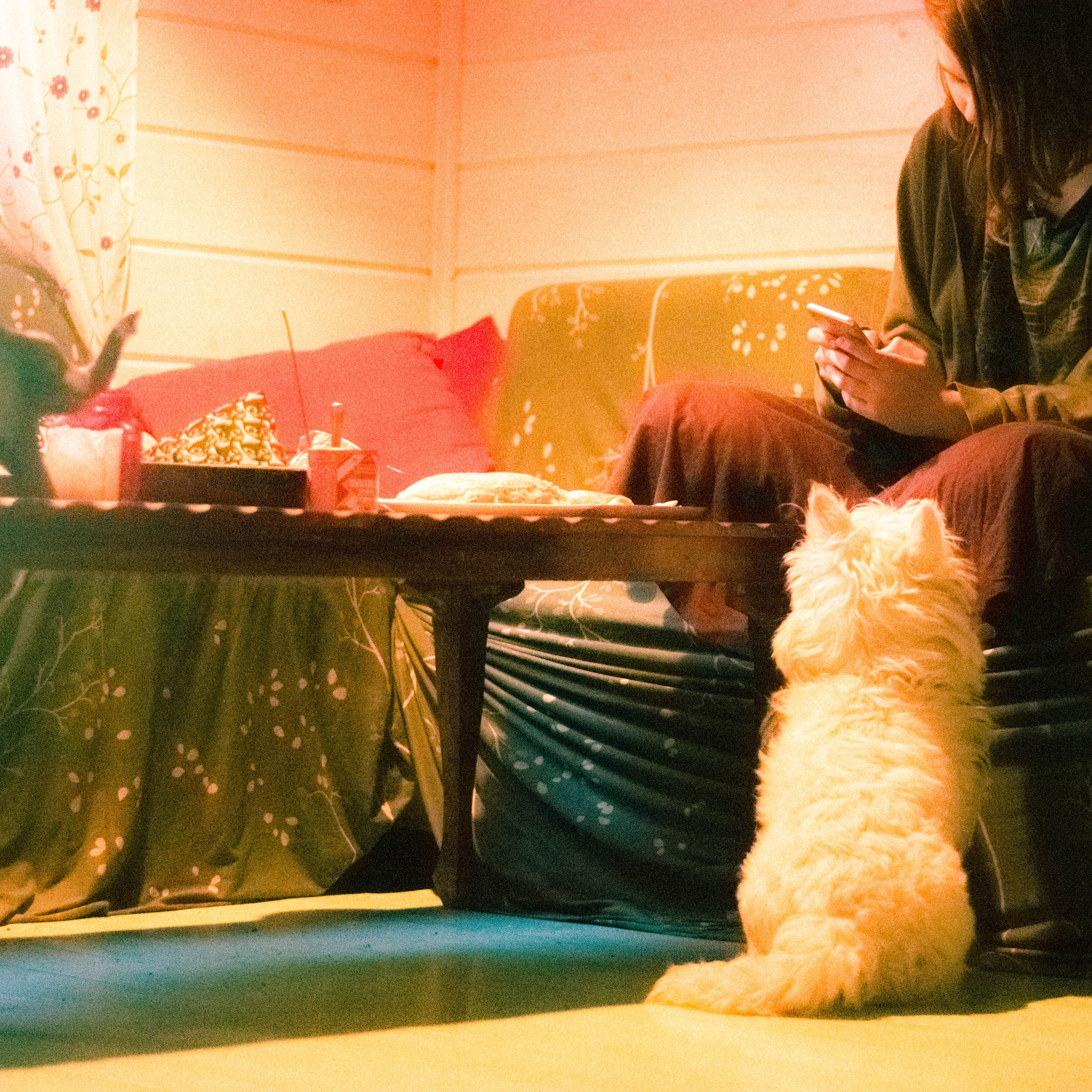 Элька Мурзина