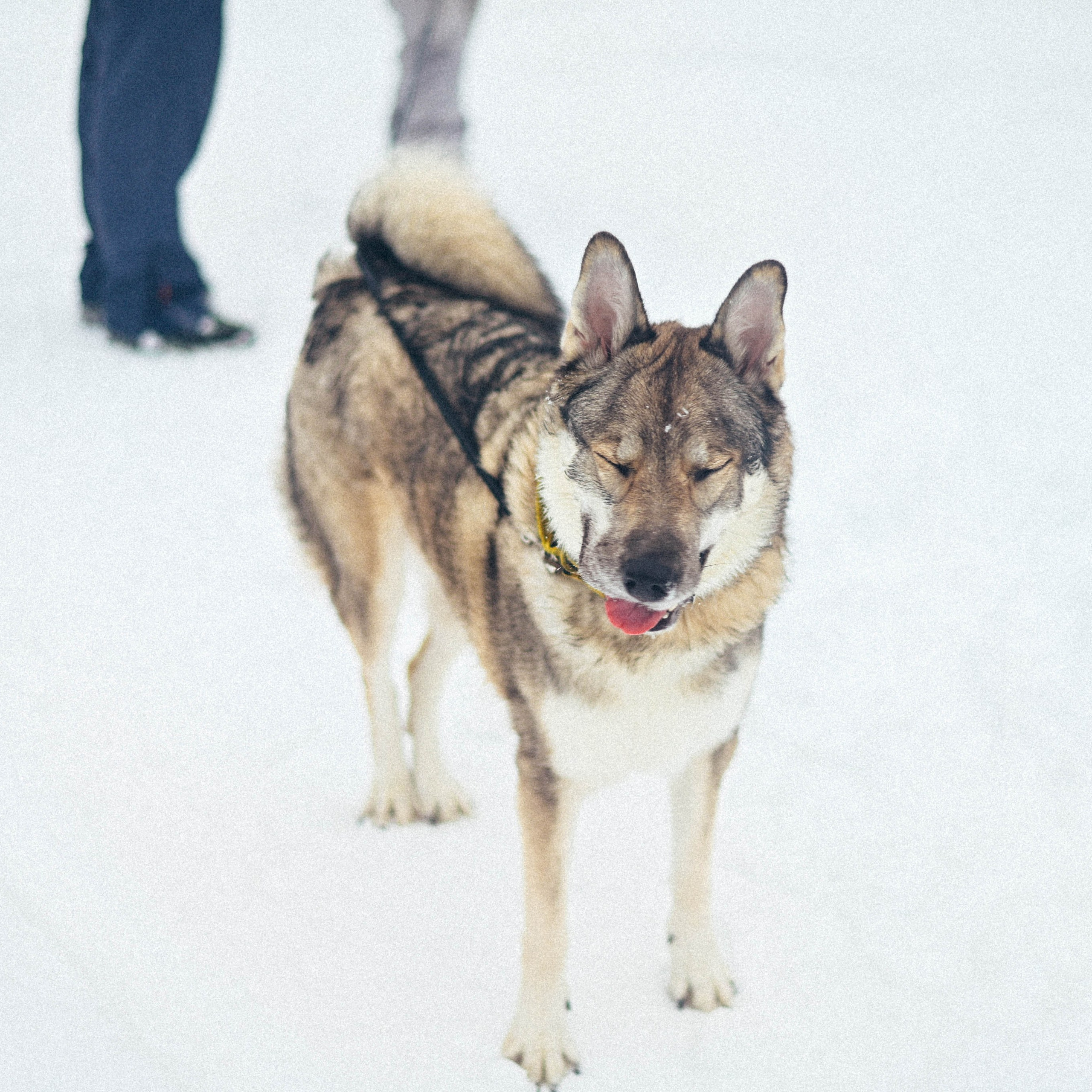 Отзывы. Элька Мурзина