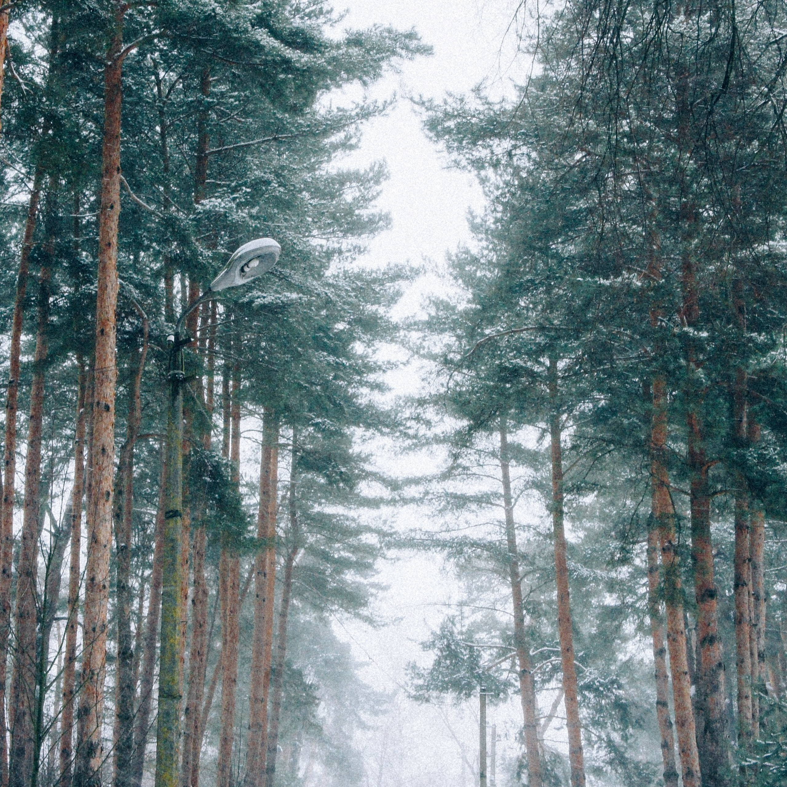 Элька Мурзина