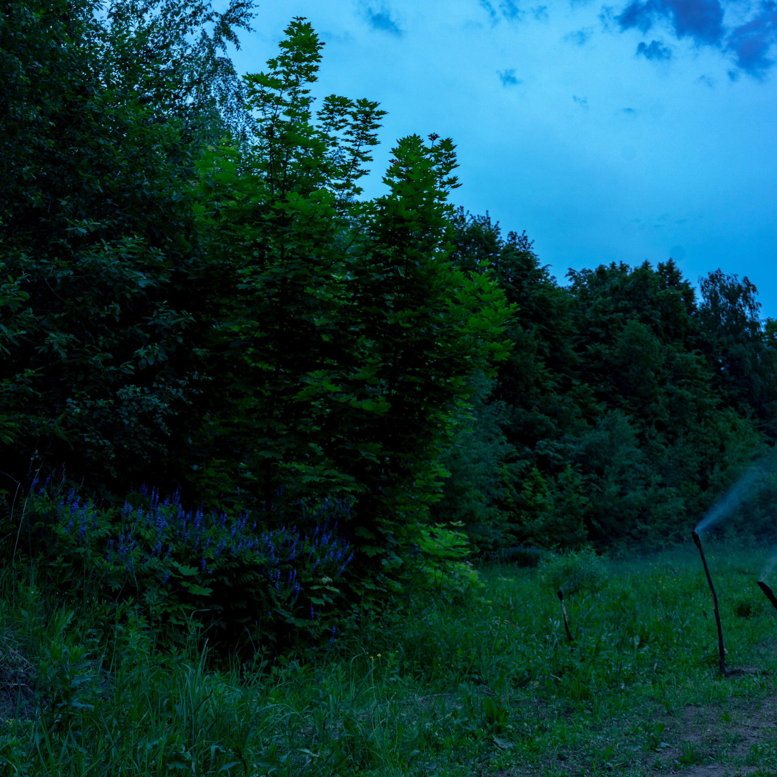 Ретушер в Рязани