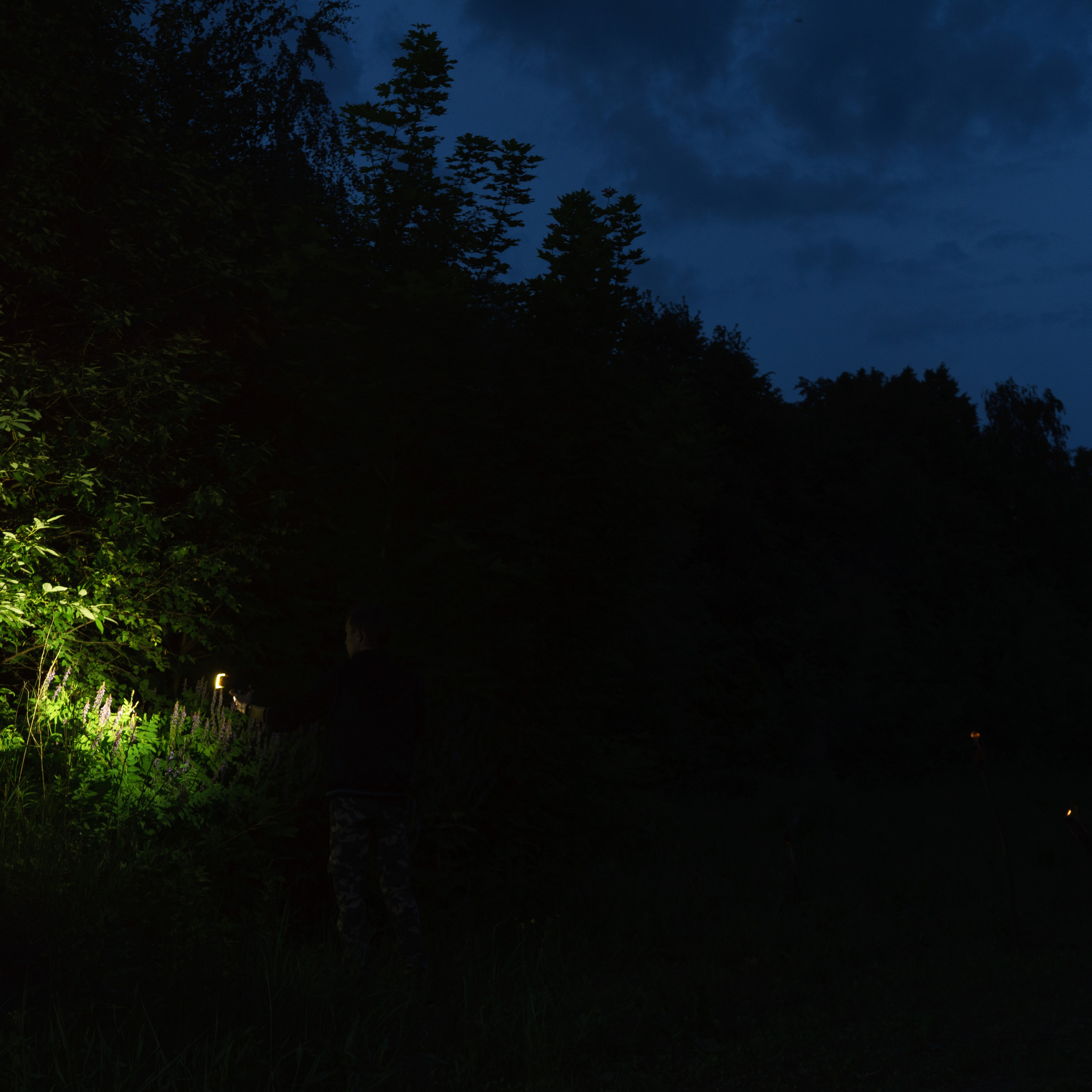 Ретушер в Рязани