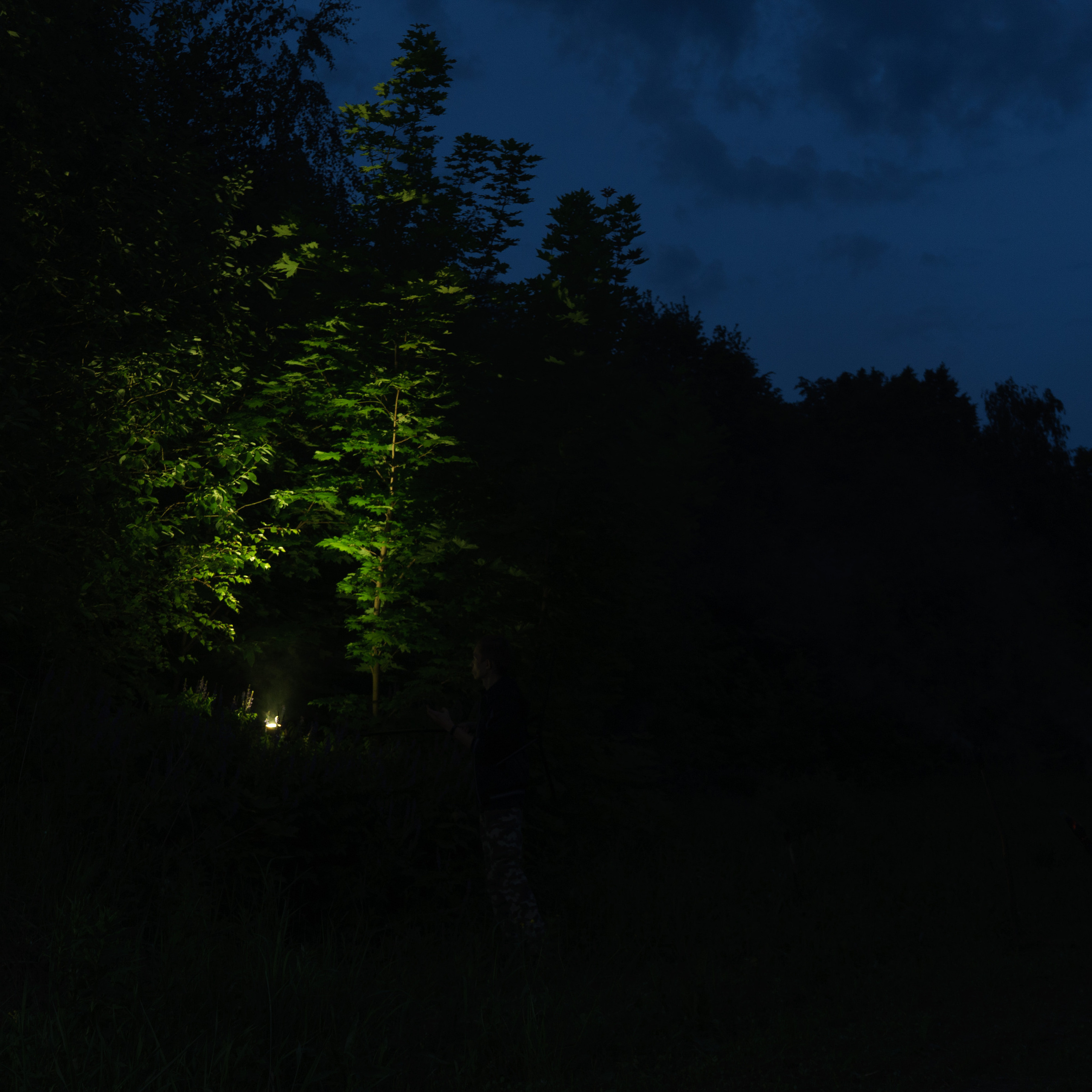 Ретушер в Рязани