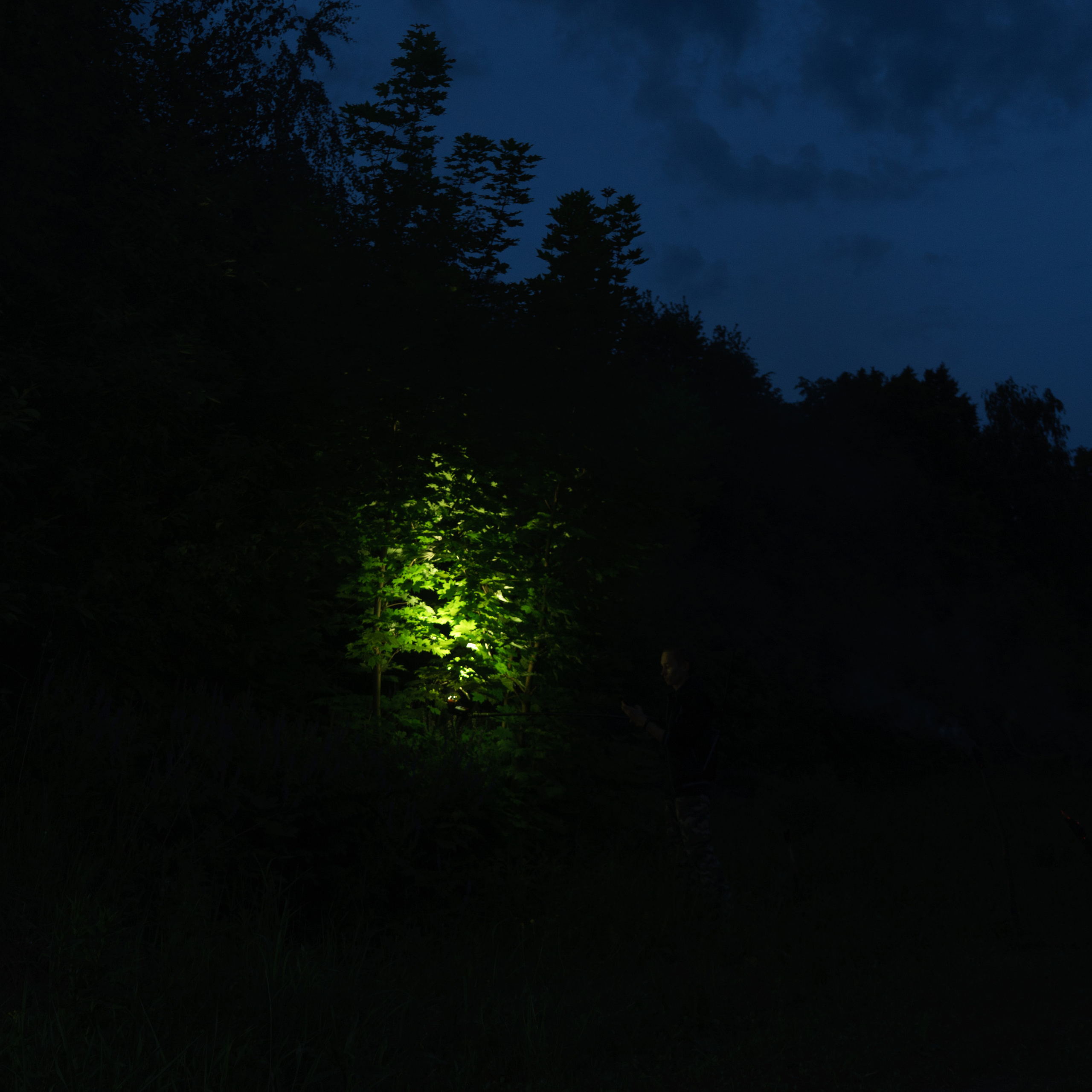 Ретушер в Рязани