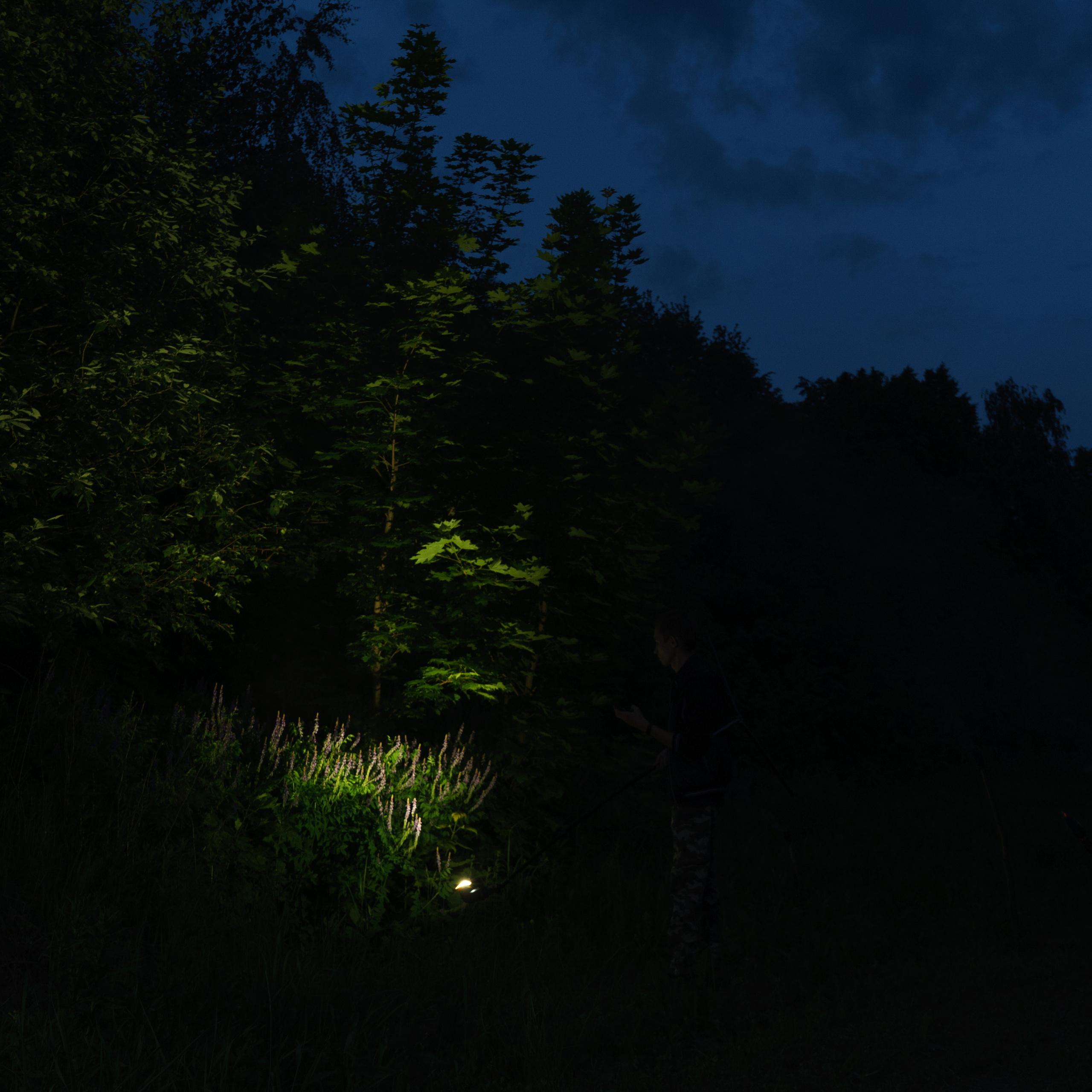 Ретушер в Рязани