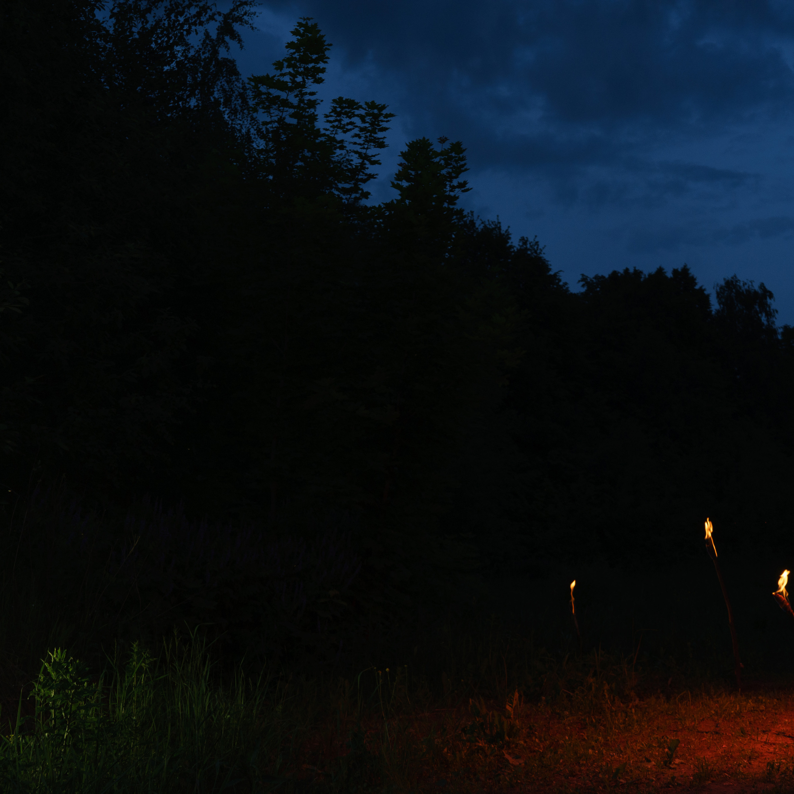 Ретушер в Рязани