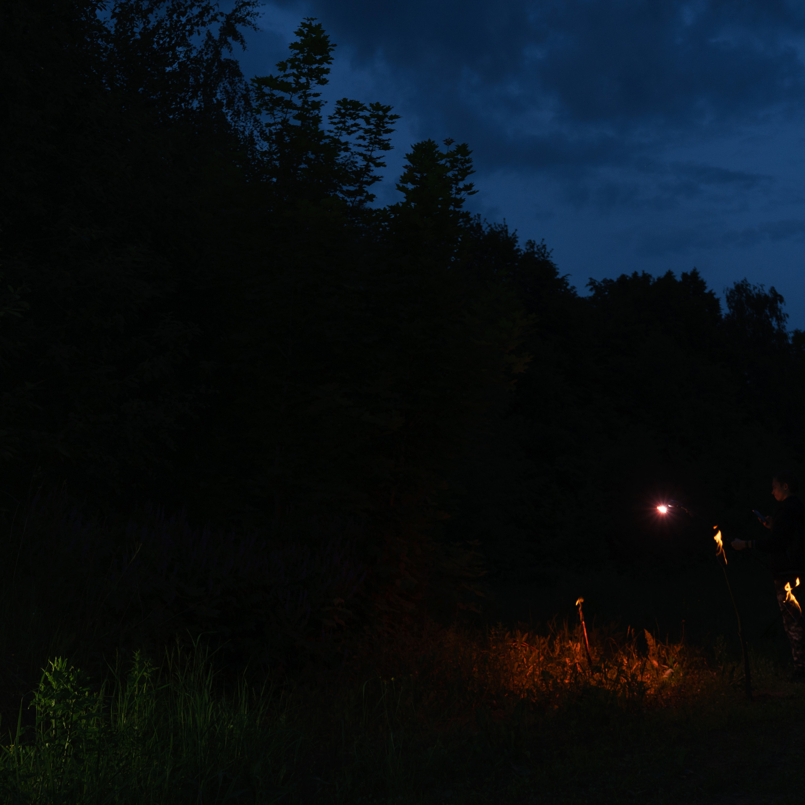 Ретушер в Рязани