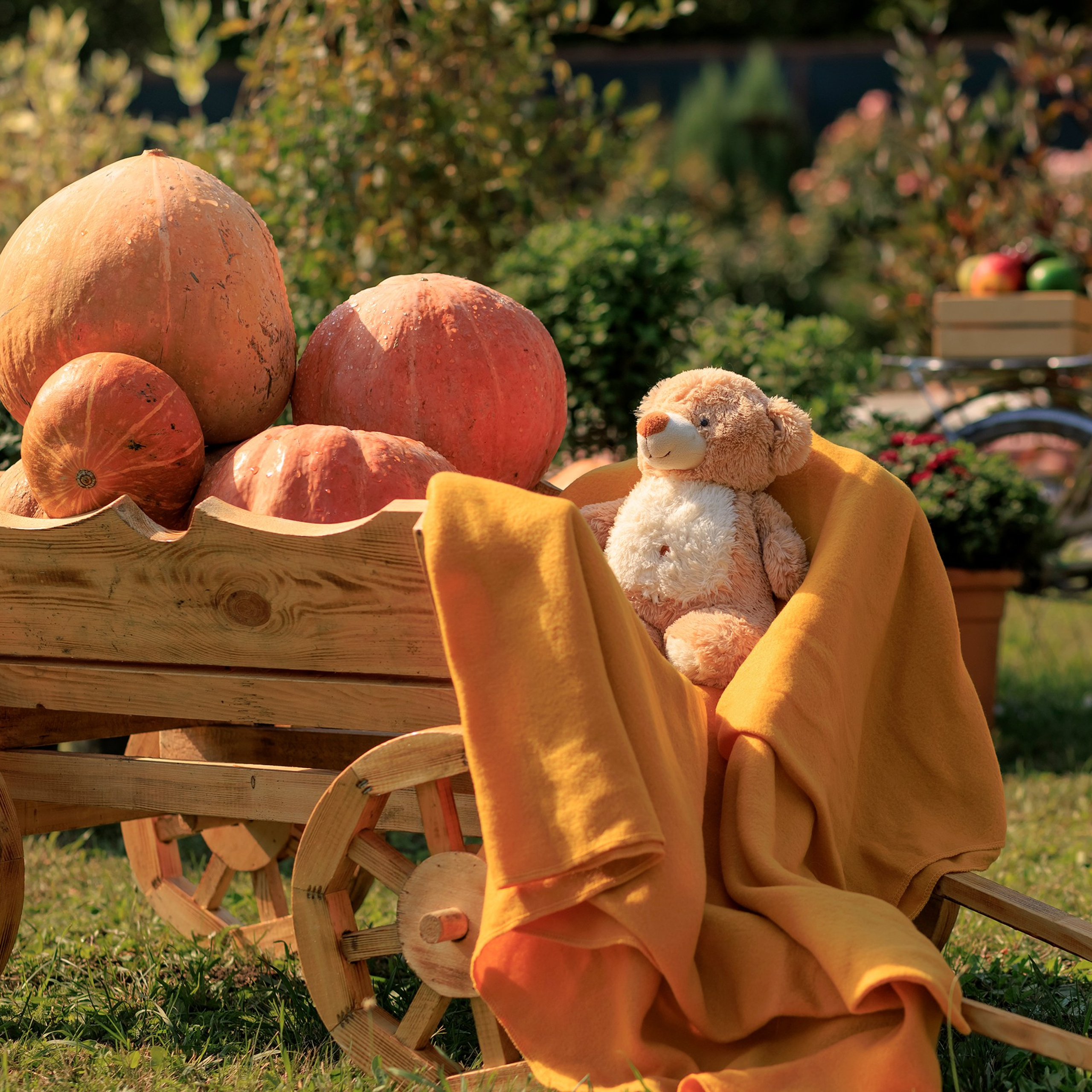 Фотографирую в парке-заповеднике «Купидон»