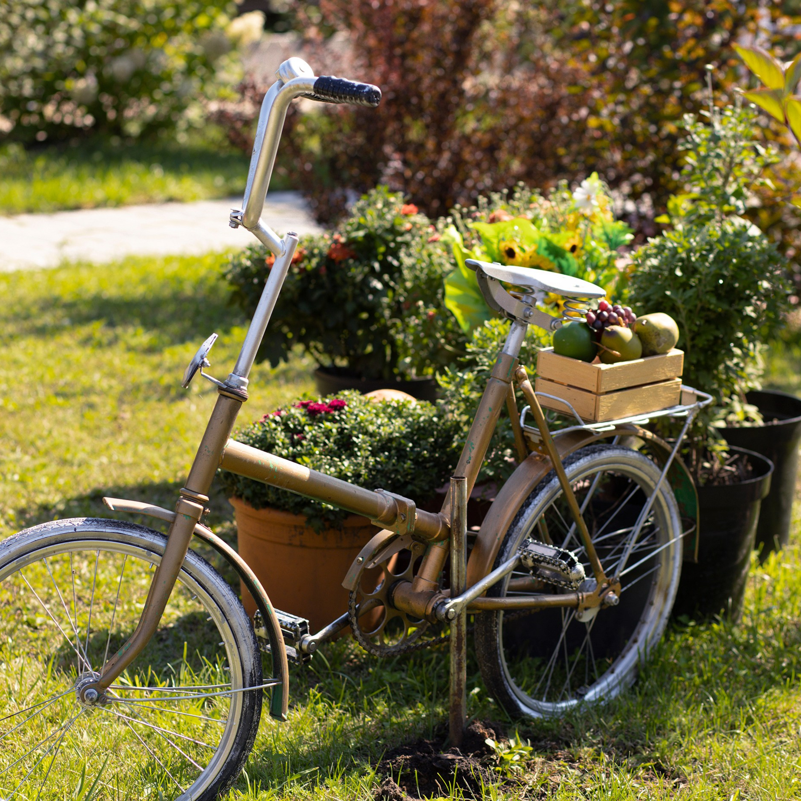Фотографирую в парке-заповеднике «Купидон»
