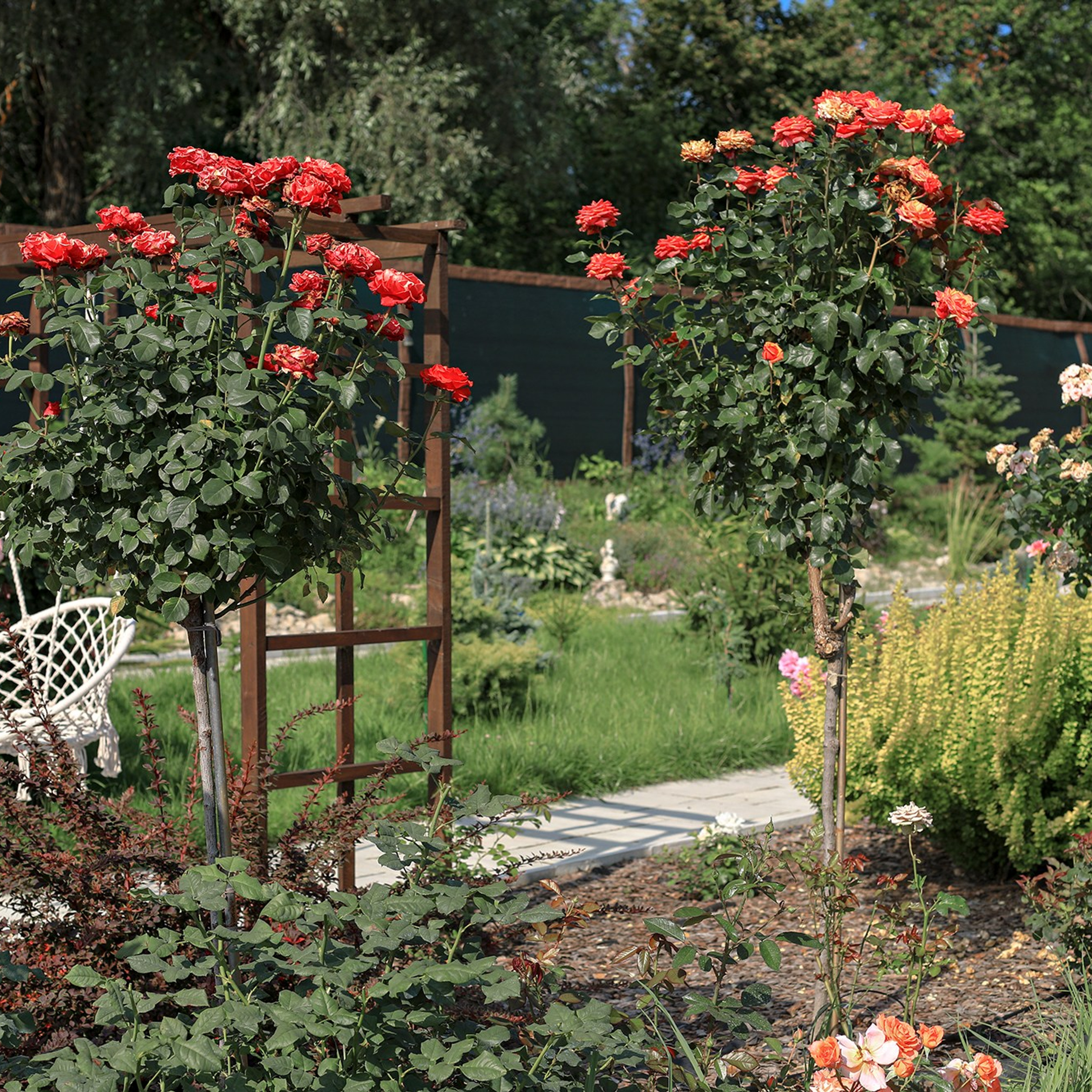 Фотографирую в парке-заповеднике «Купидон»