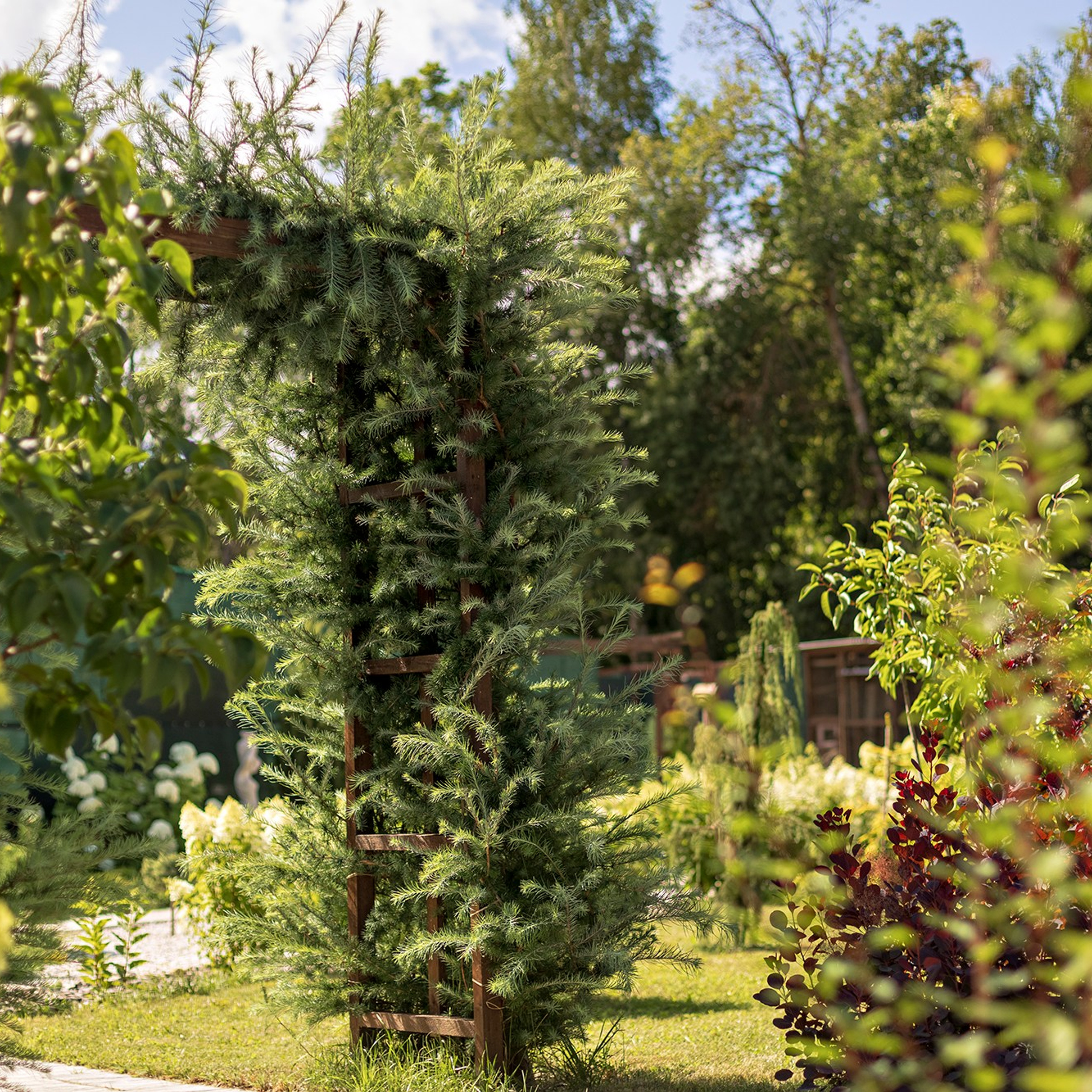 Фотографирую в парке-заповеднике «Купидон»