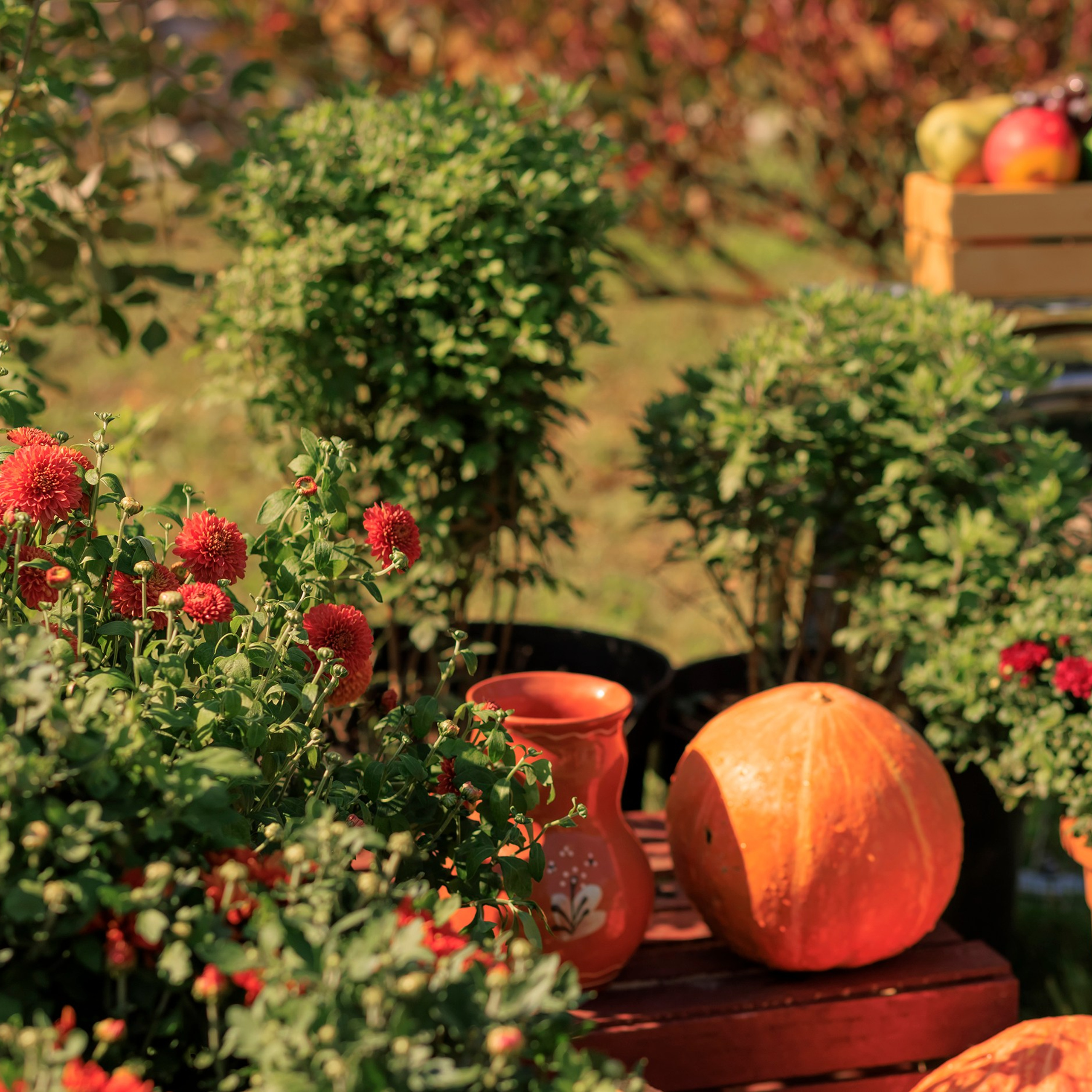 Фотографирую в парке-заповеднике «Купидон»