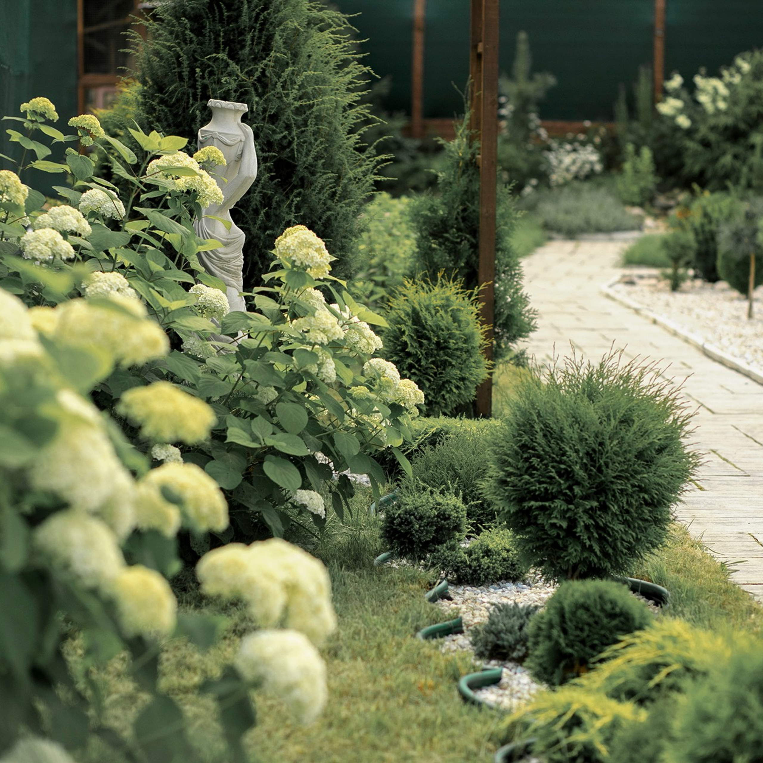 Фотографирую в парке-заповеднике «Купидон»