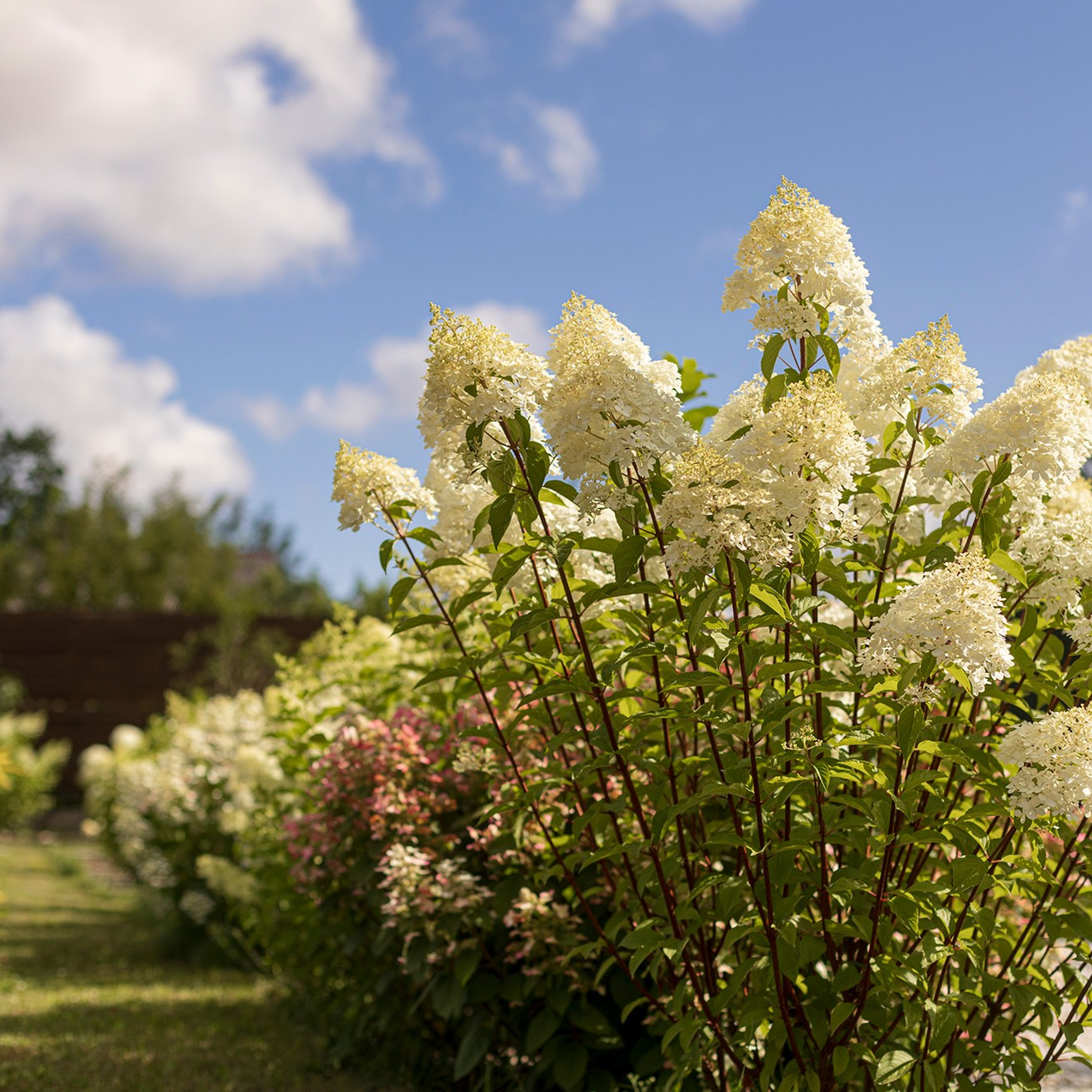 Фотографирую в парке-заповеднике «Купидон»