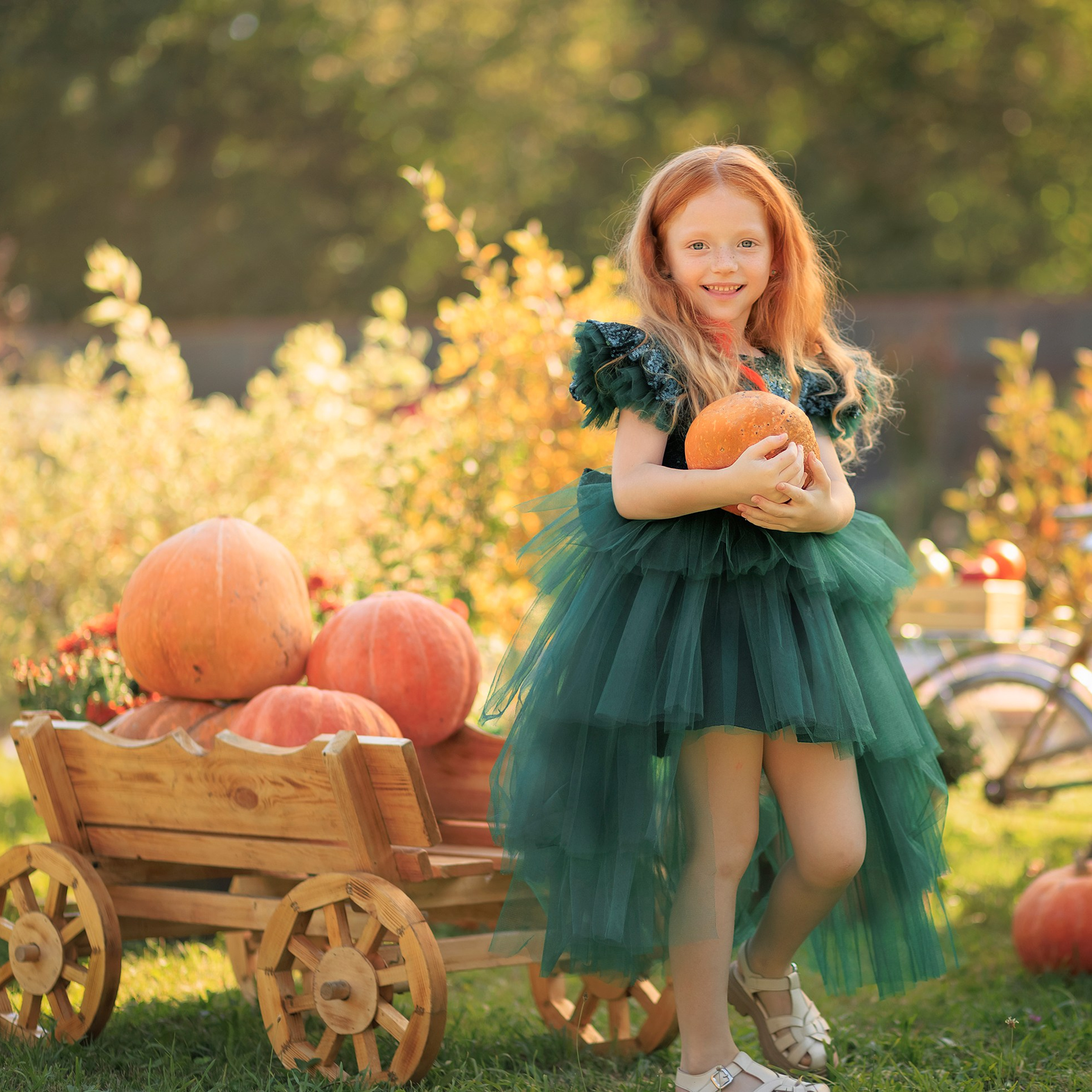 Осенние истории