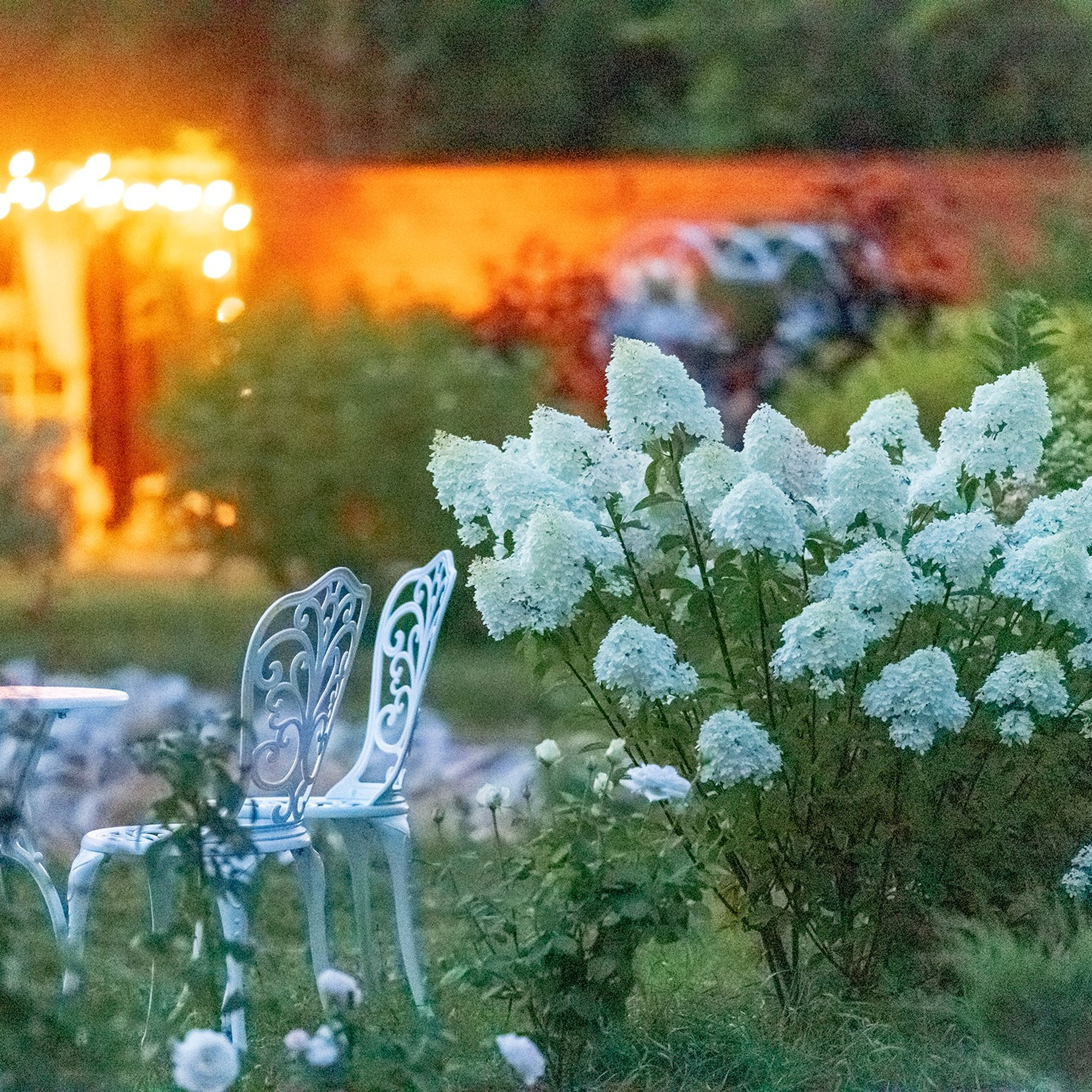 Фотографирую в парке-заповеднике «Купидон»