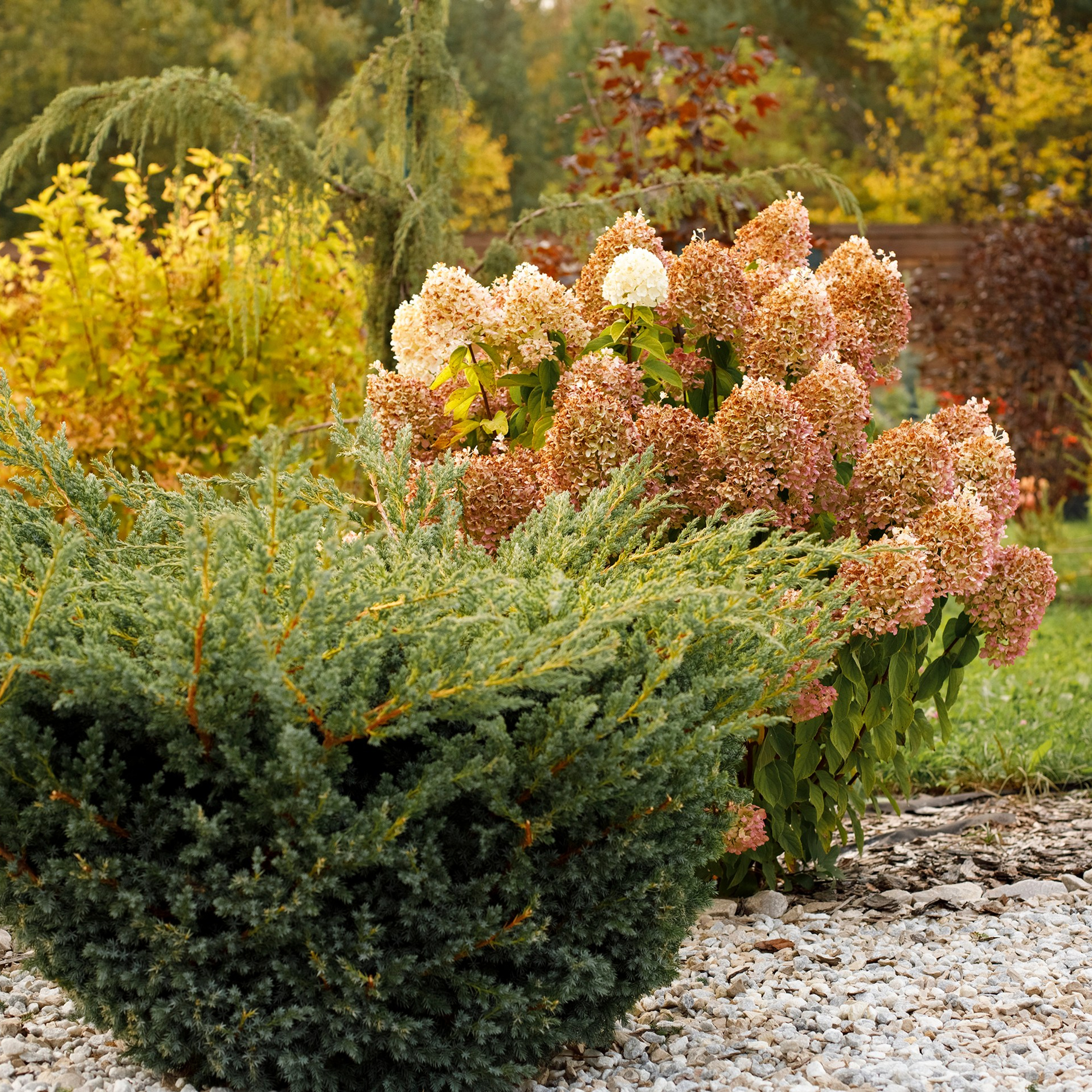 Фотографирую в парке-заповеднике «Купидон»