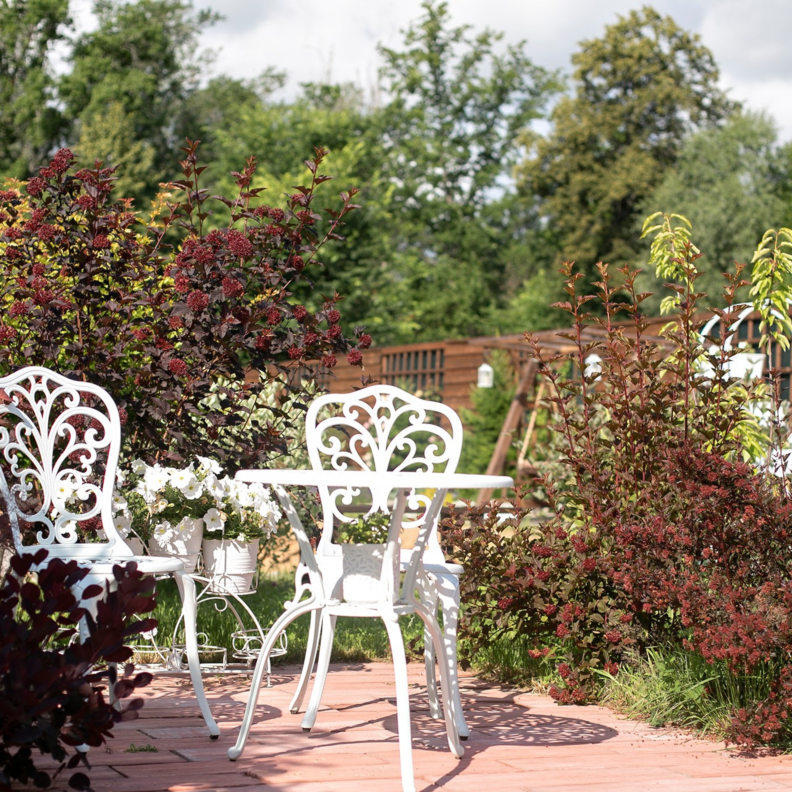 Фотографирую в парке-заповеднике «Купидон»