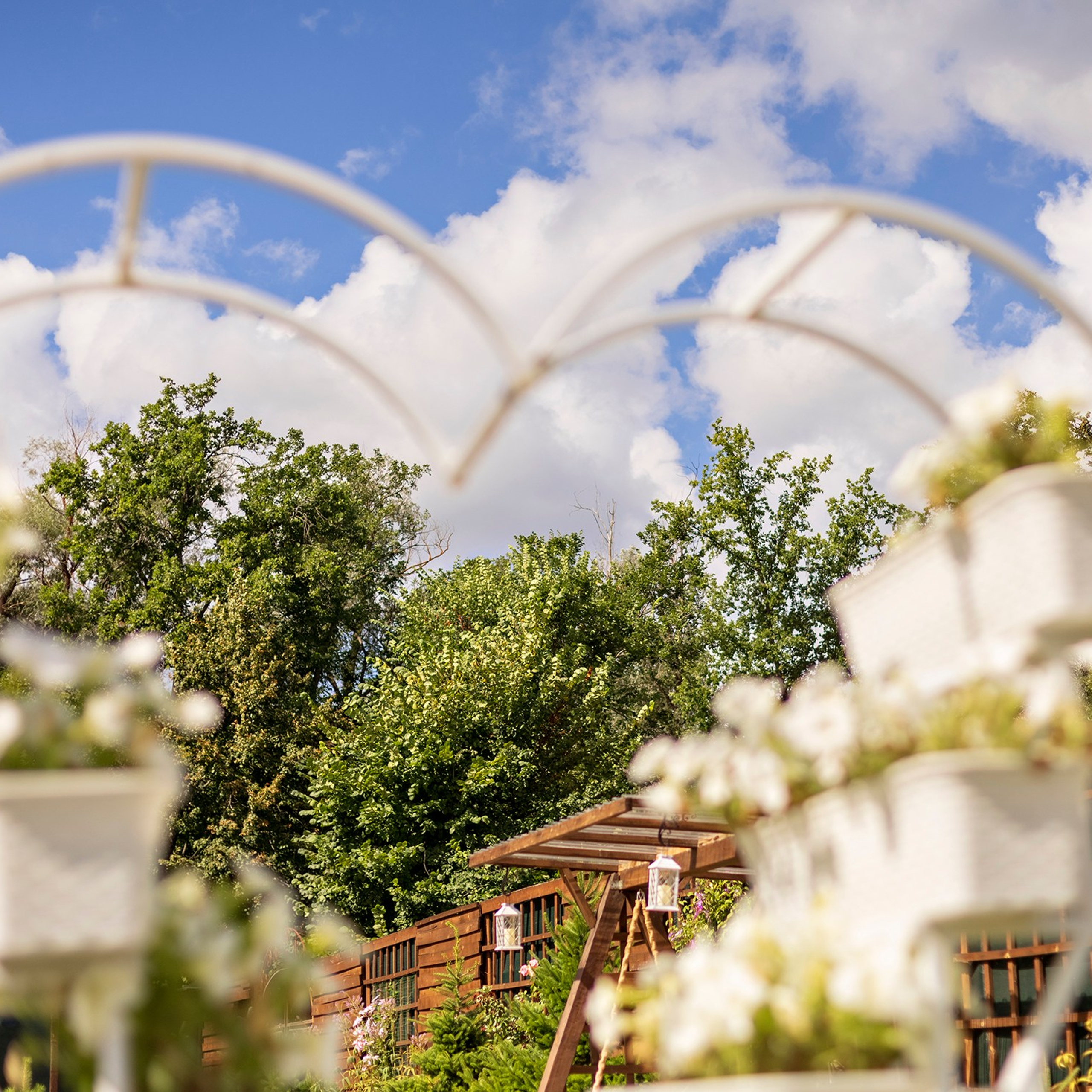 Фотографирую в парке-заповеднике «Купидон»