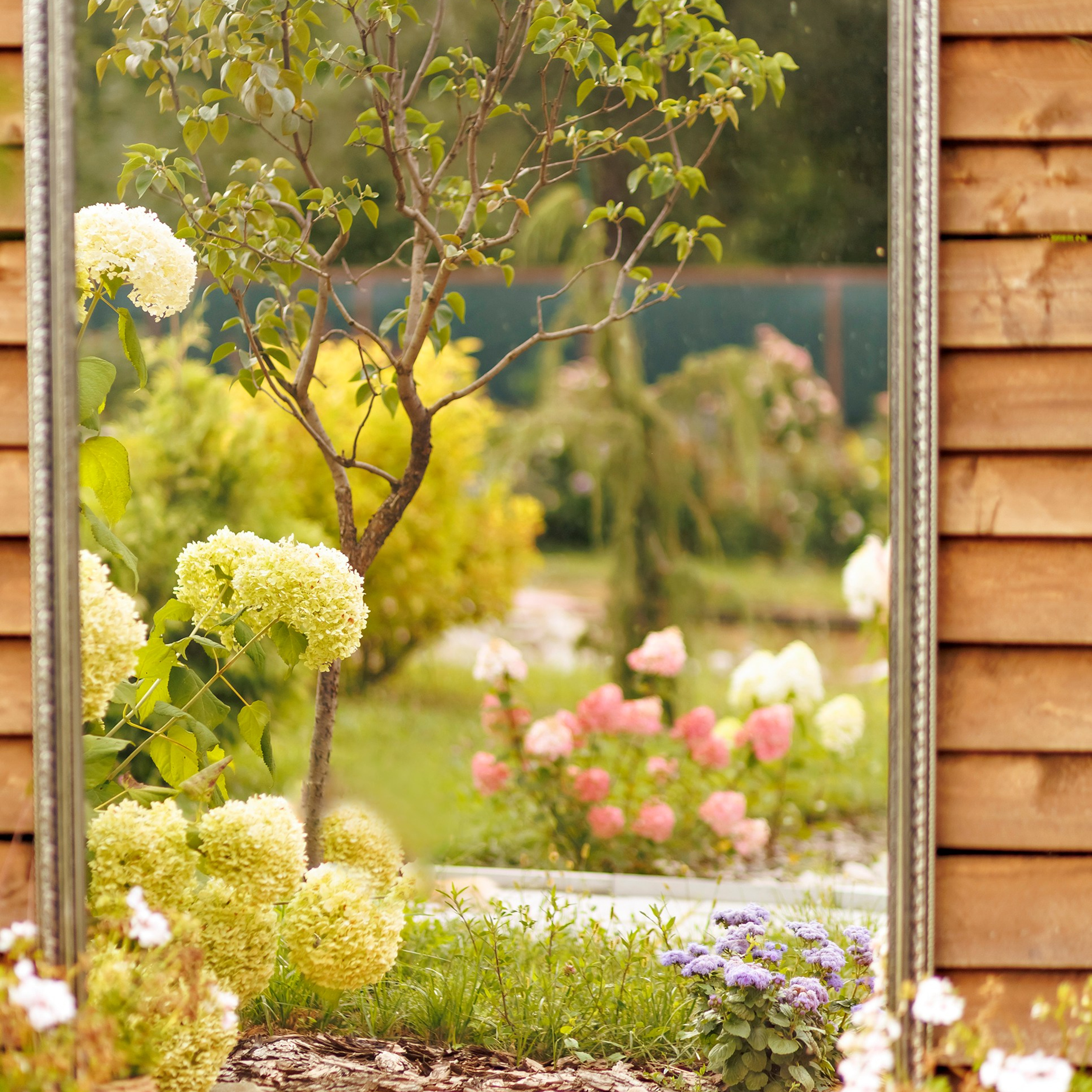 Фотографирую в парке-заповеднике «Купидон»