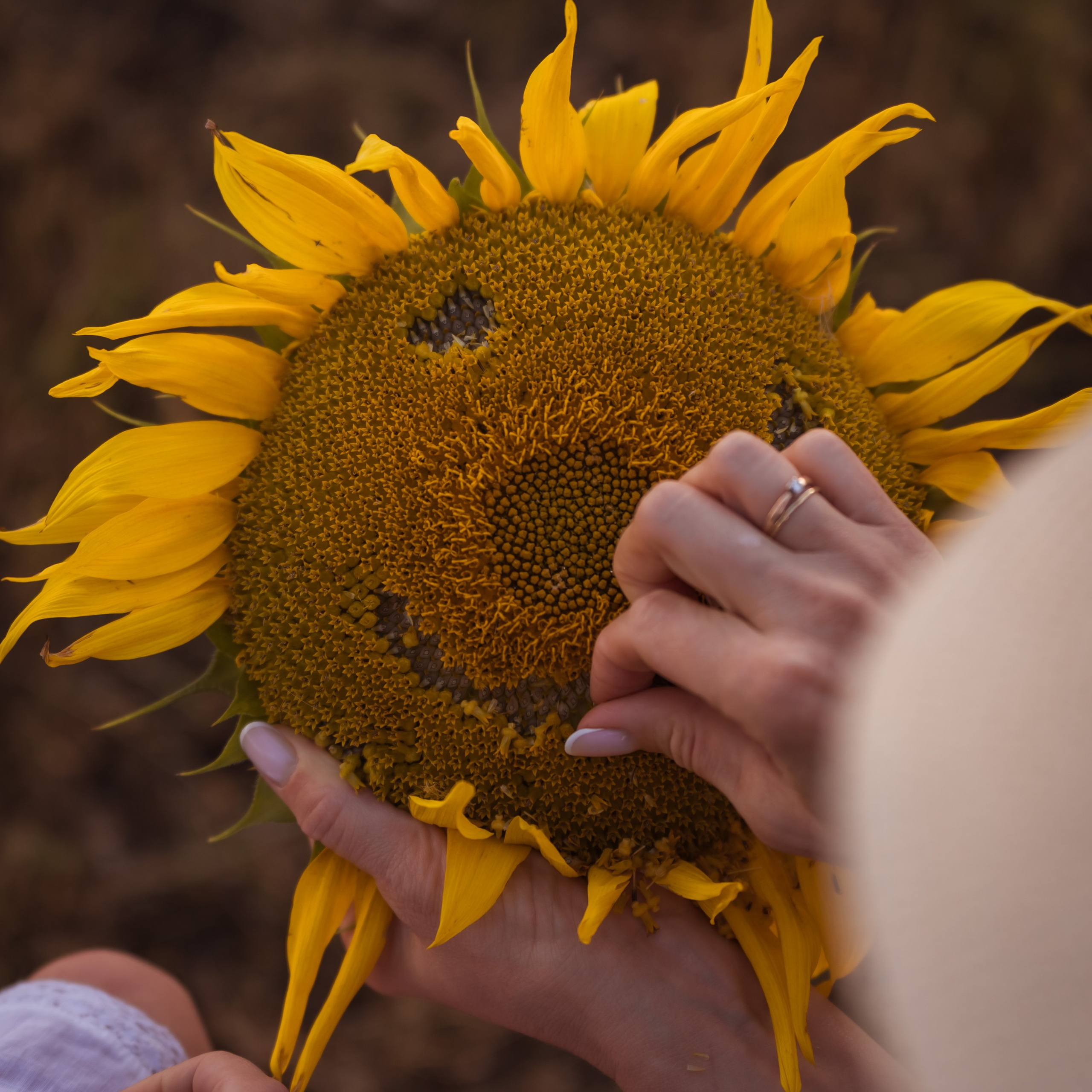Свадебный и семейный фотограф в Омске Белозерова Александра