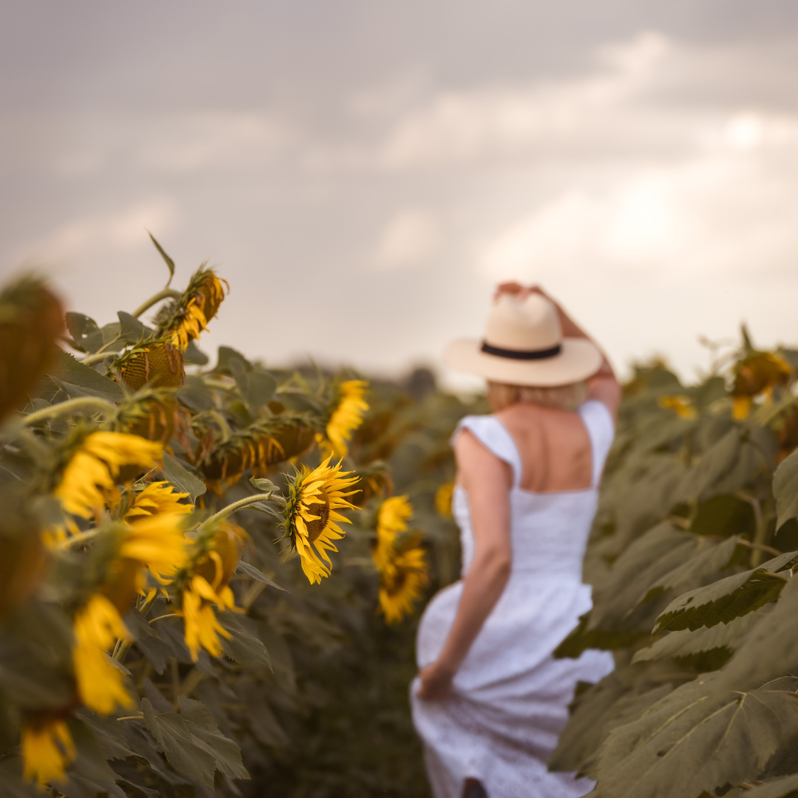 Свадебный и семейный фотограф в Омске Белозерова Александра