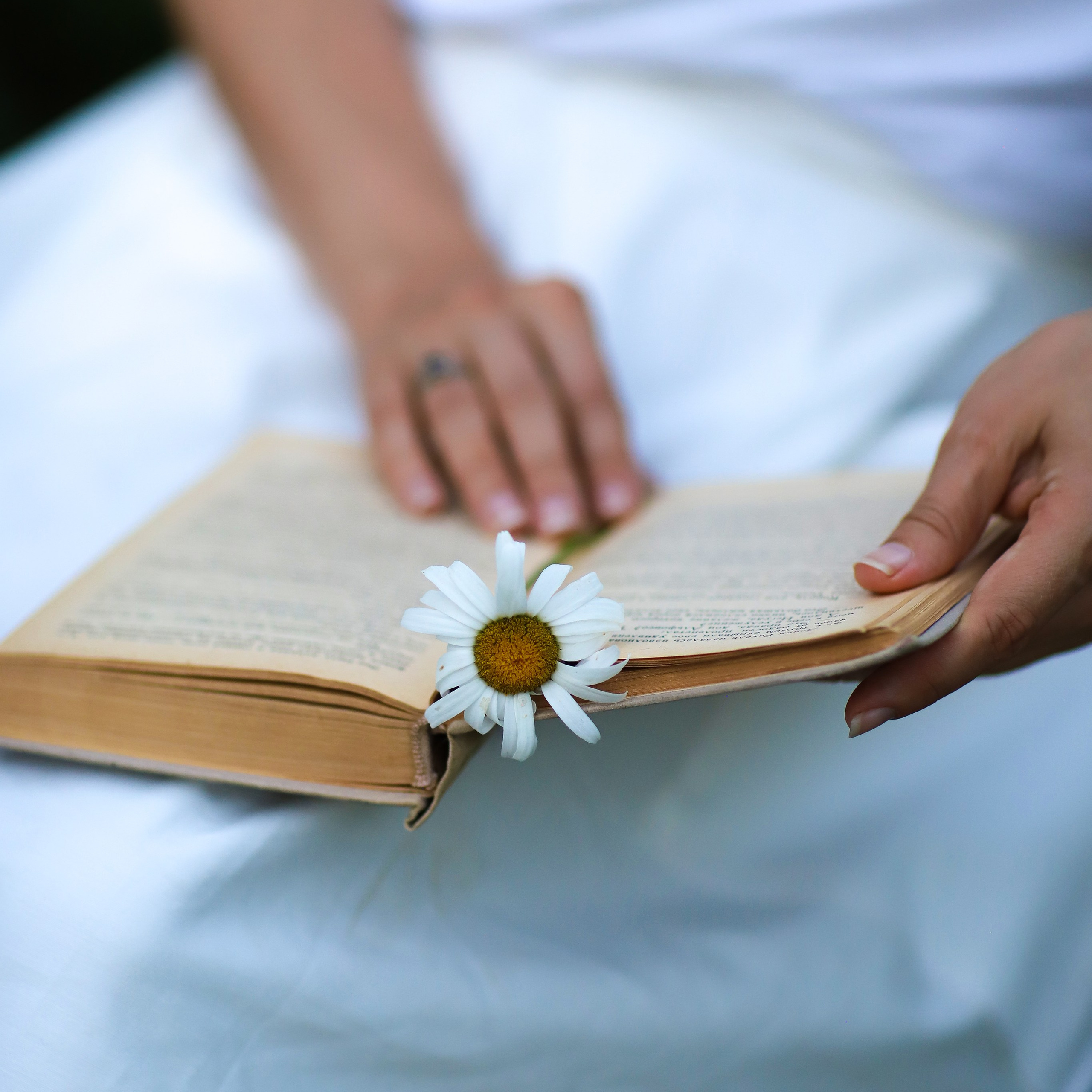 Летний сад. Семейный и детский фотограф в Москве Ольга Тихонкова