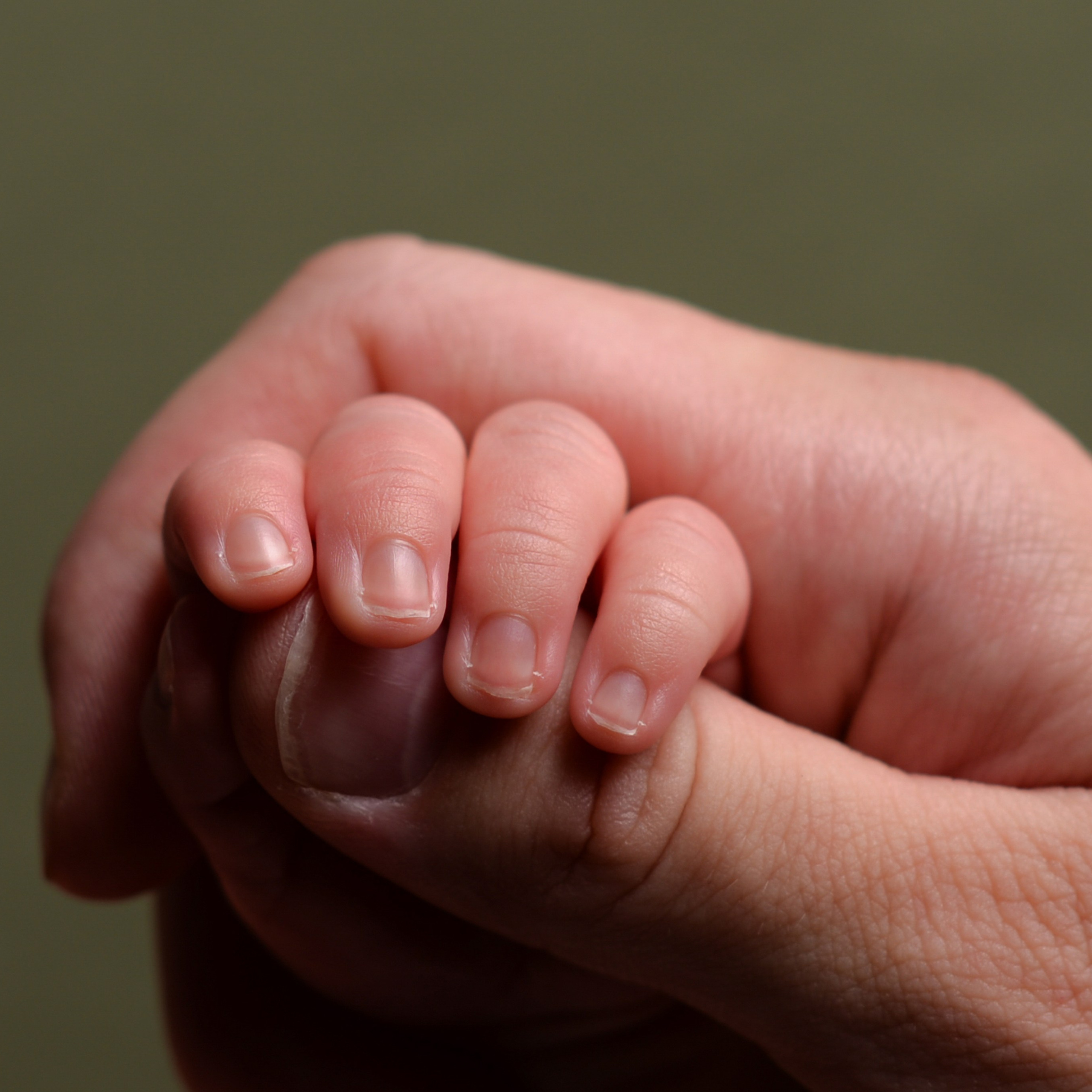 Отзывы. Фотограф новорожденных в Москве Воробьева Юлия