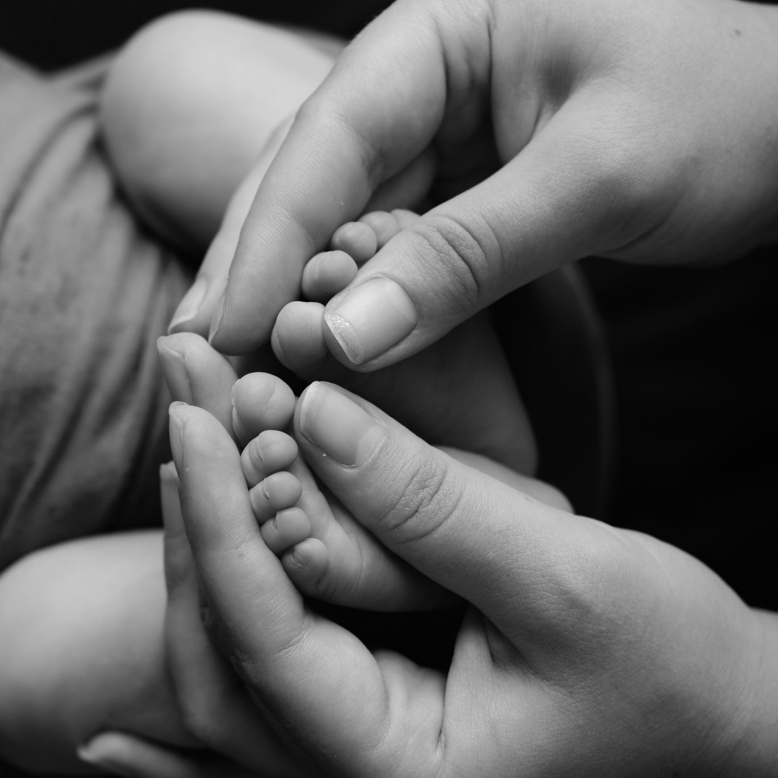 Отзывы. Фотограф новорожденных в Москве Воробьева Юлия