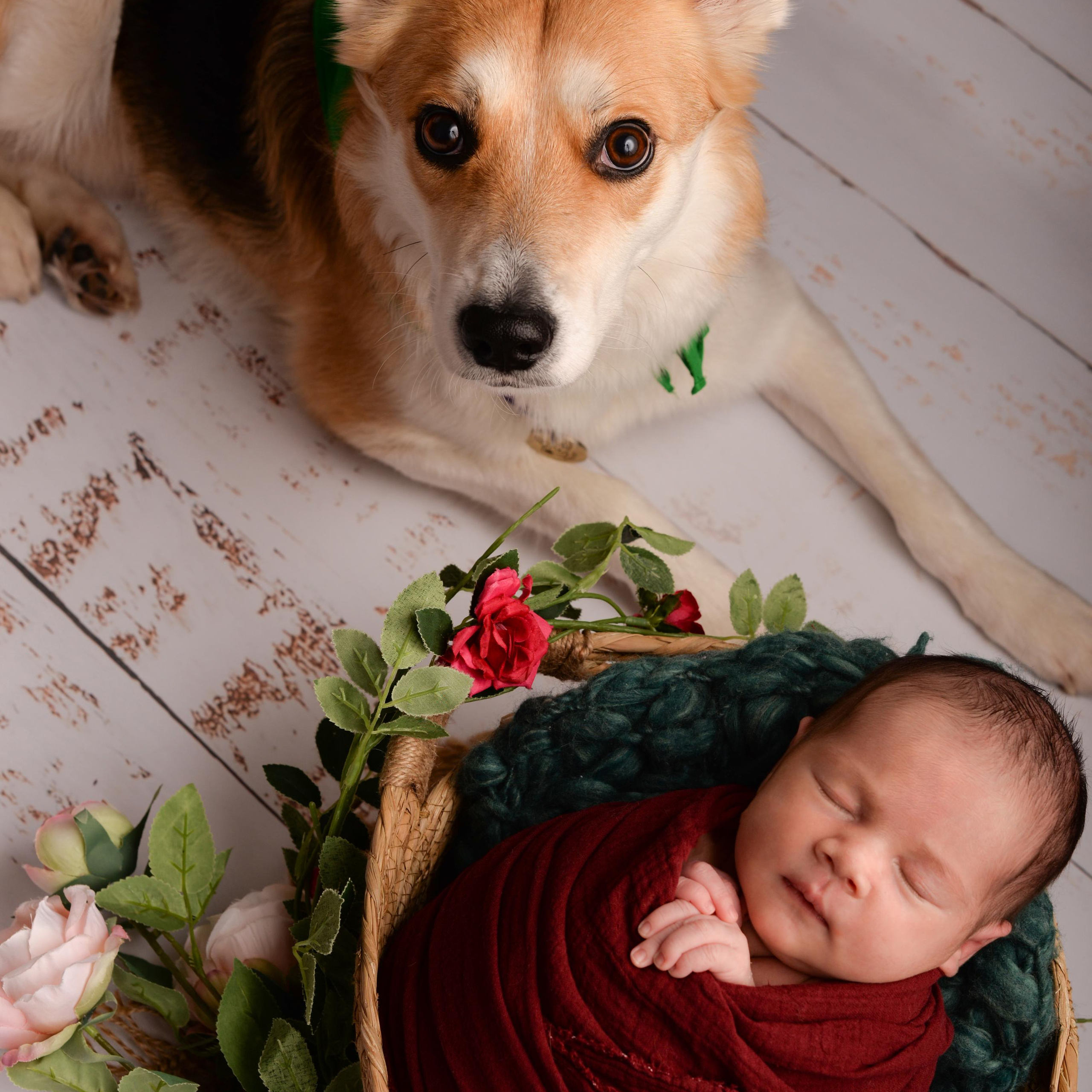 Фотограф новорожденных в Москве Воробьева Юлия