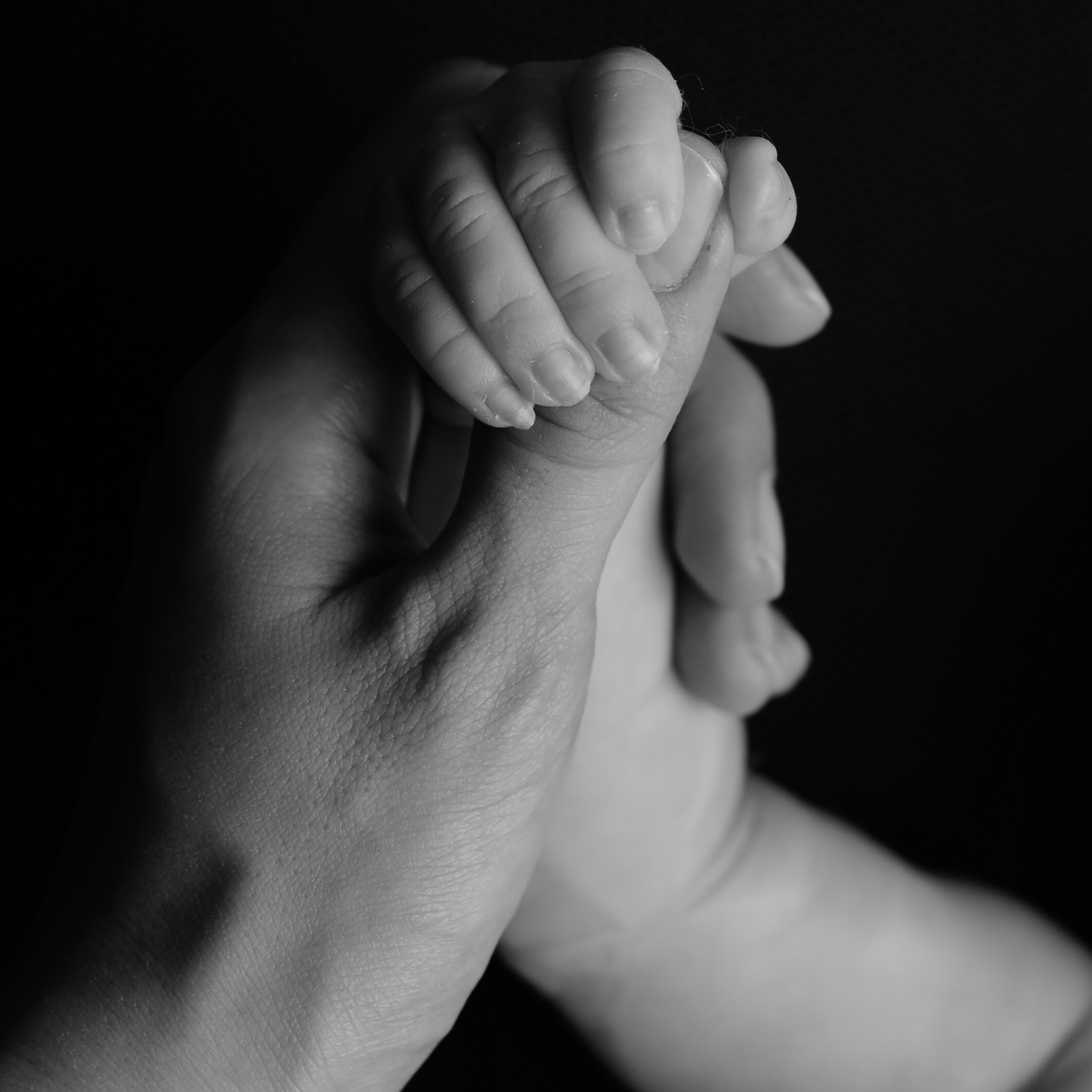 Отзывы. Фотограф новорожденных в Москве Воробьева Юлия