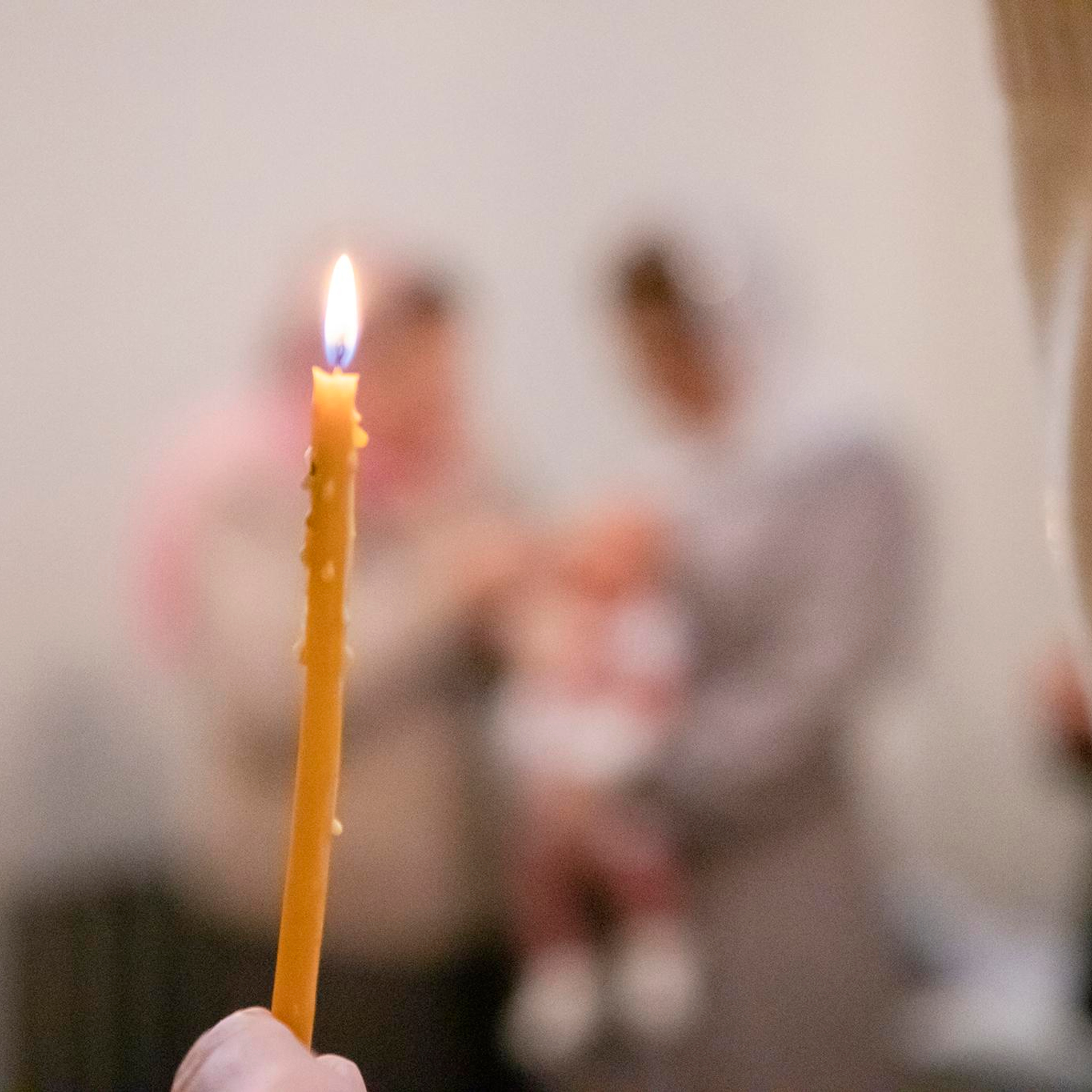 Отзывы. Фотограф в Москве Серегина Екатерина