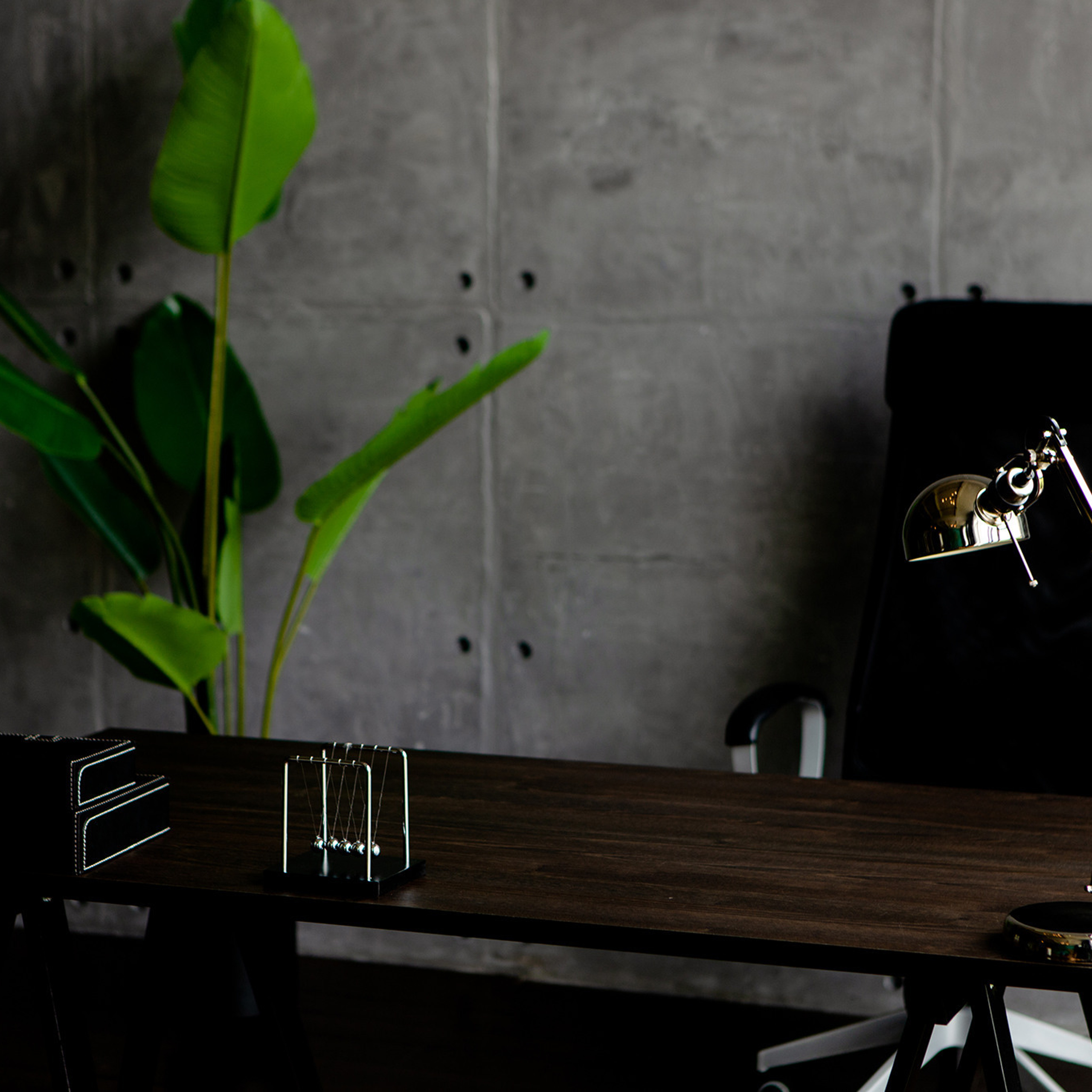 Отзывы. Фотограф в Москве Серегина Екатерина