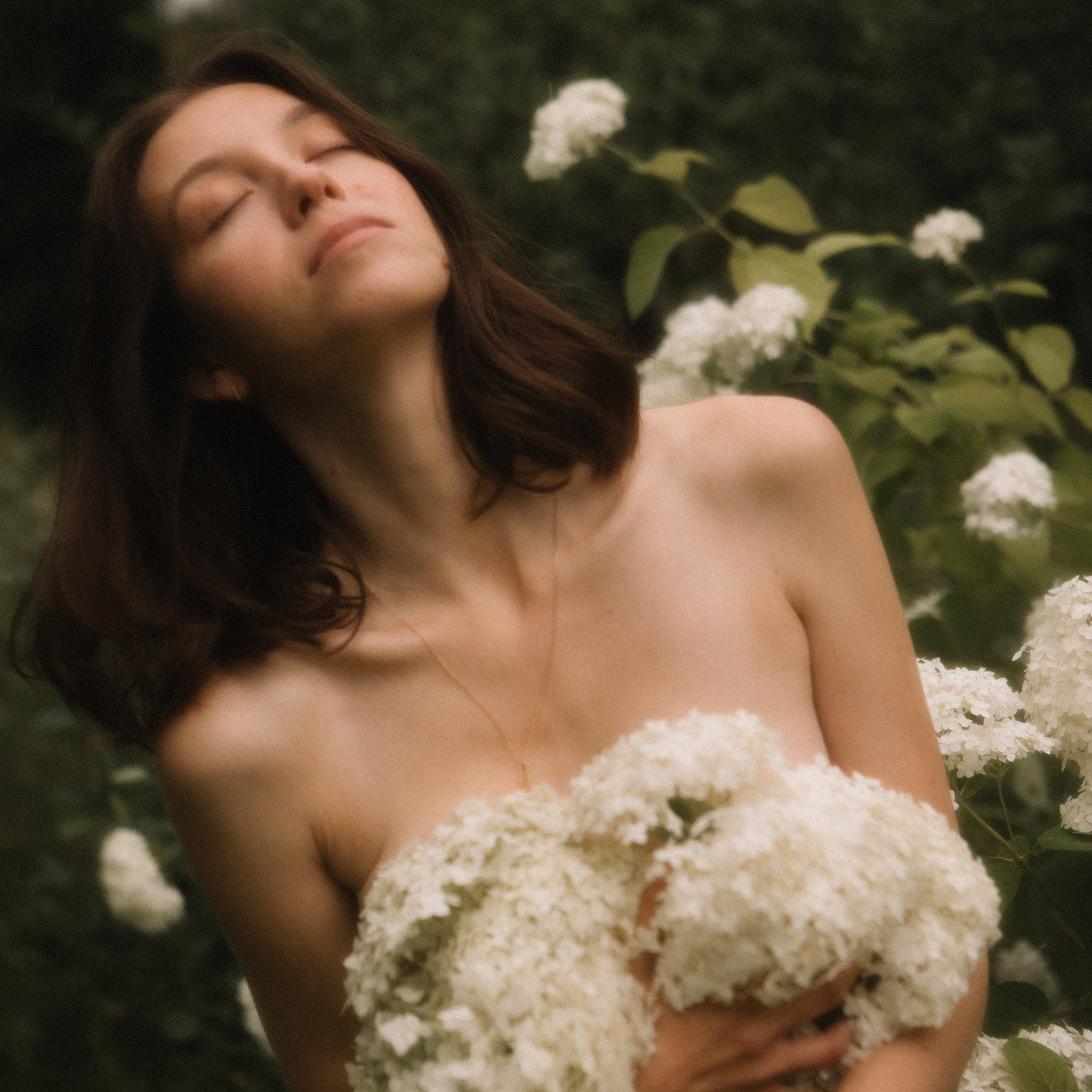 Откровения в гортензиях