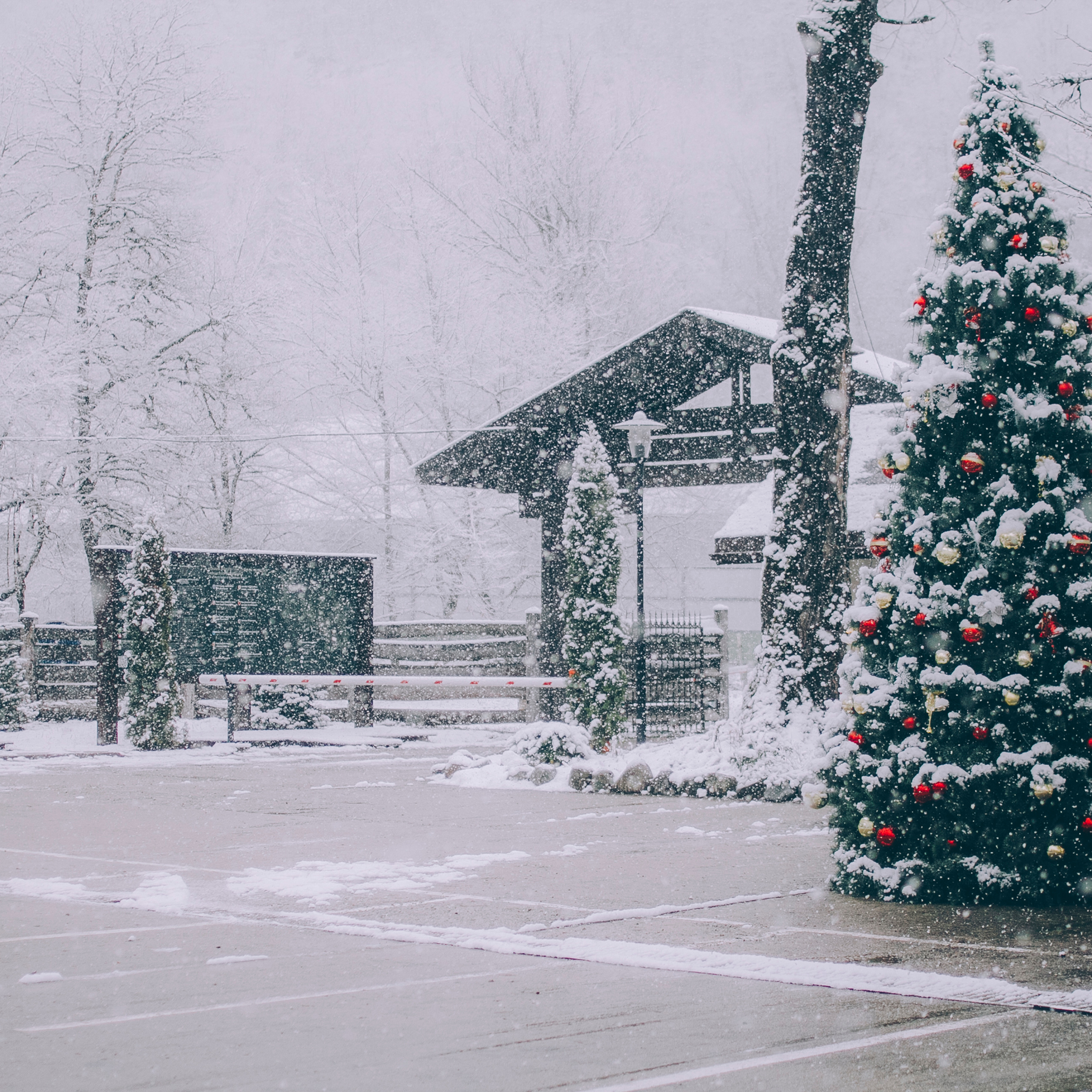 Сочи (декабрь 2017)