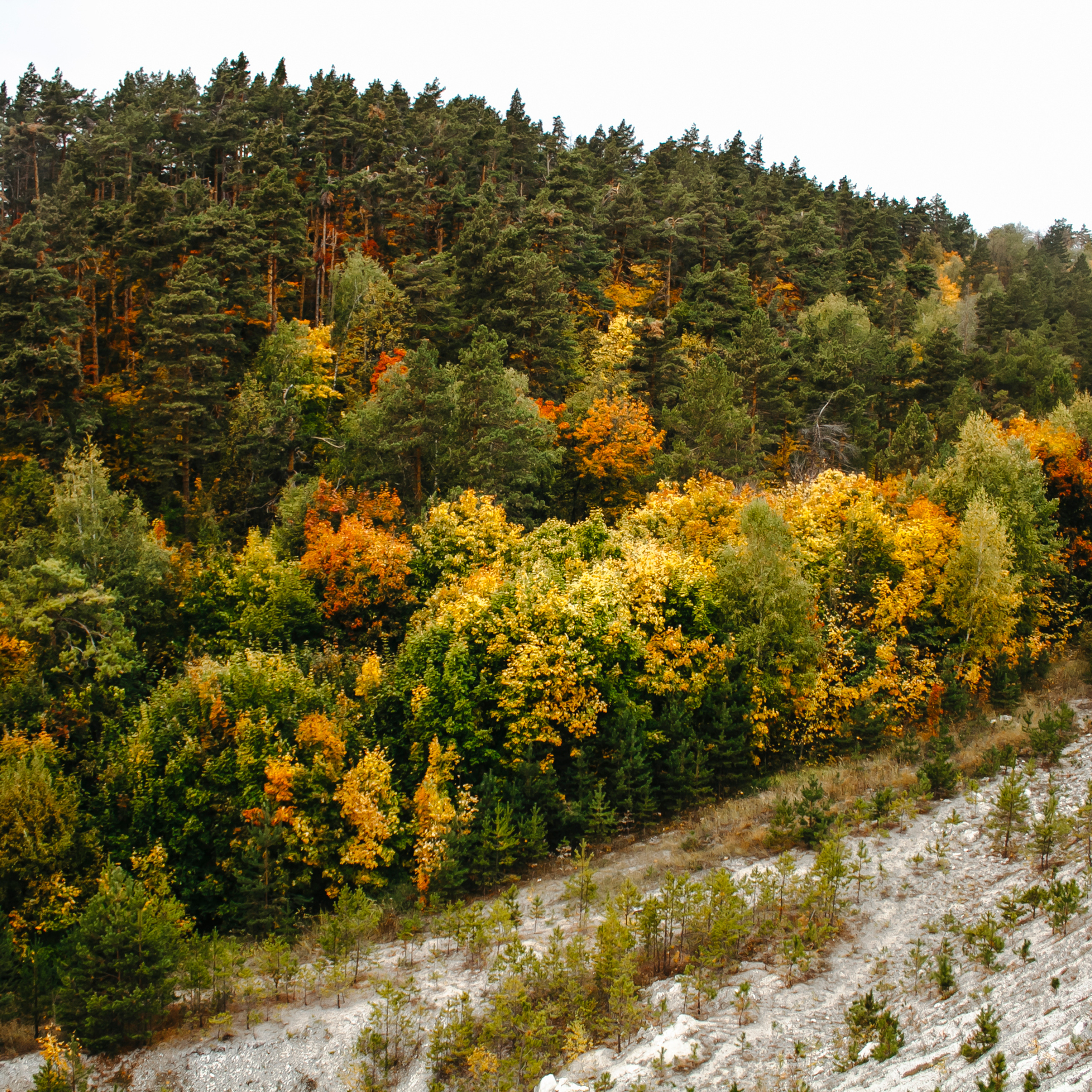 Хвалынский меловой карьер (сентябрь 2019)